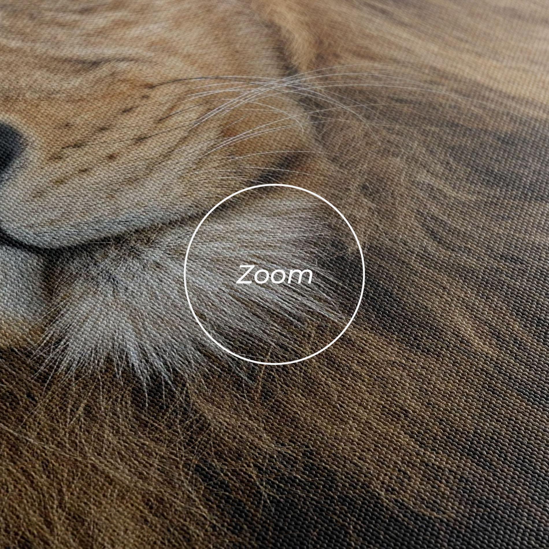 Vászonkép Lion Chilling mockup 3