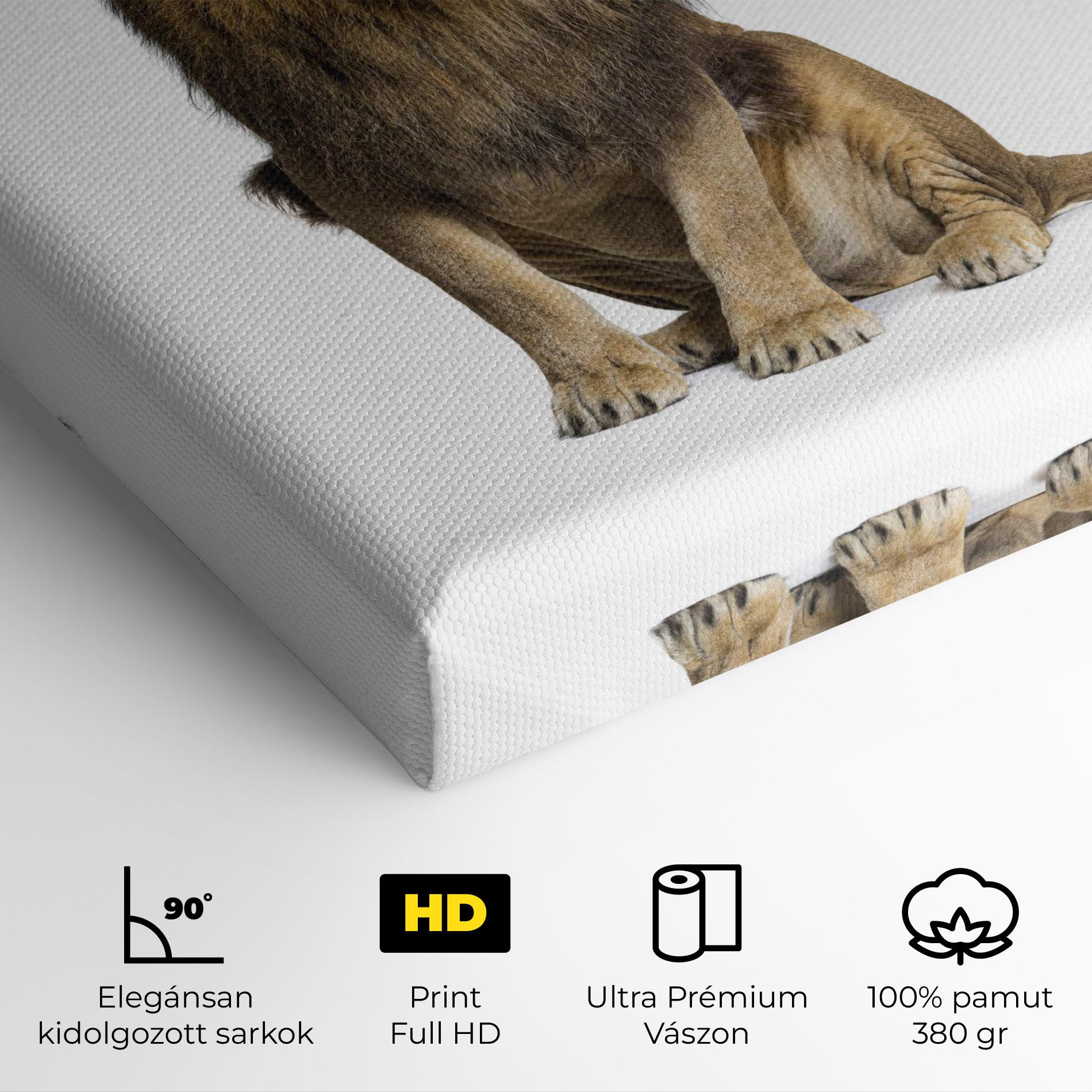 Vászonkép Big Lion mockup 4