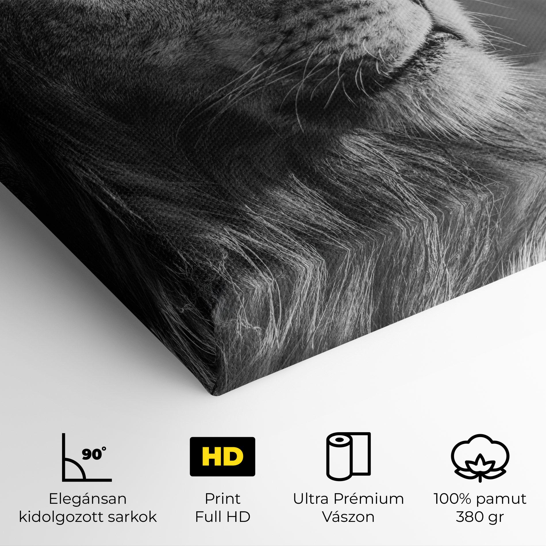 Vászonkép Grey Lion Head mockup 4