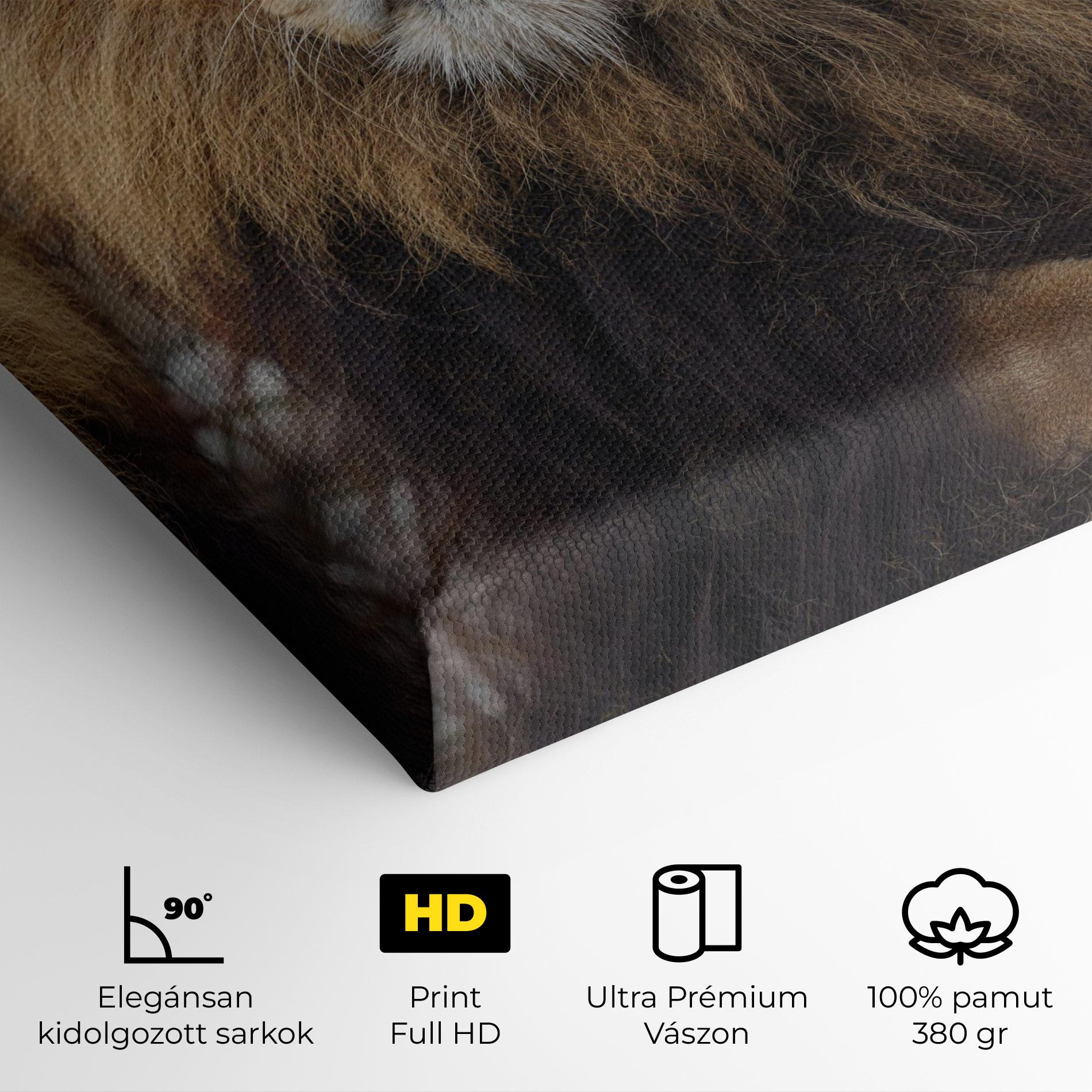 Vászonkép Lion Chilling mockup 4