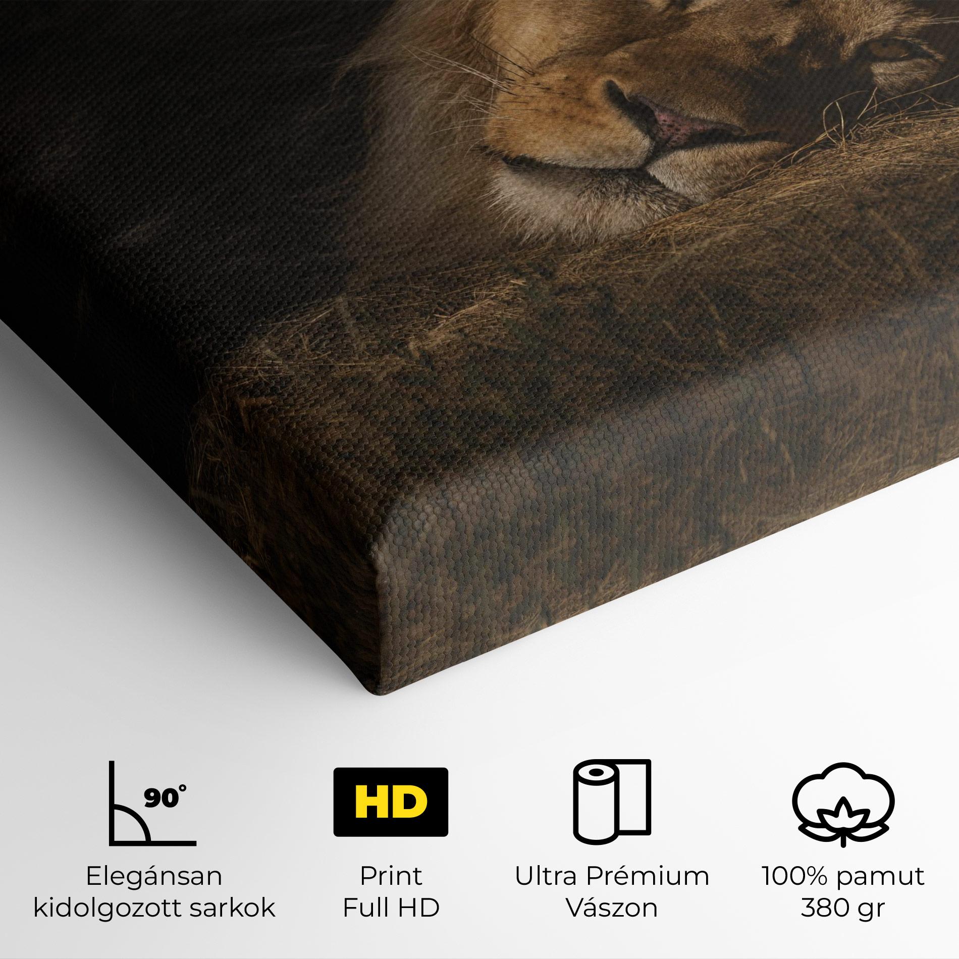 Vászonkép Lion Laying Down mockup 4