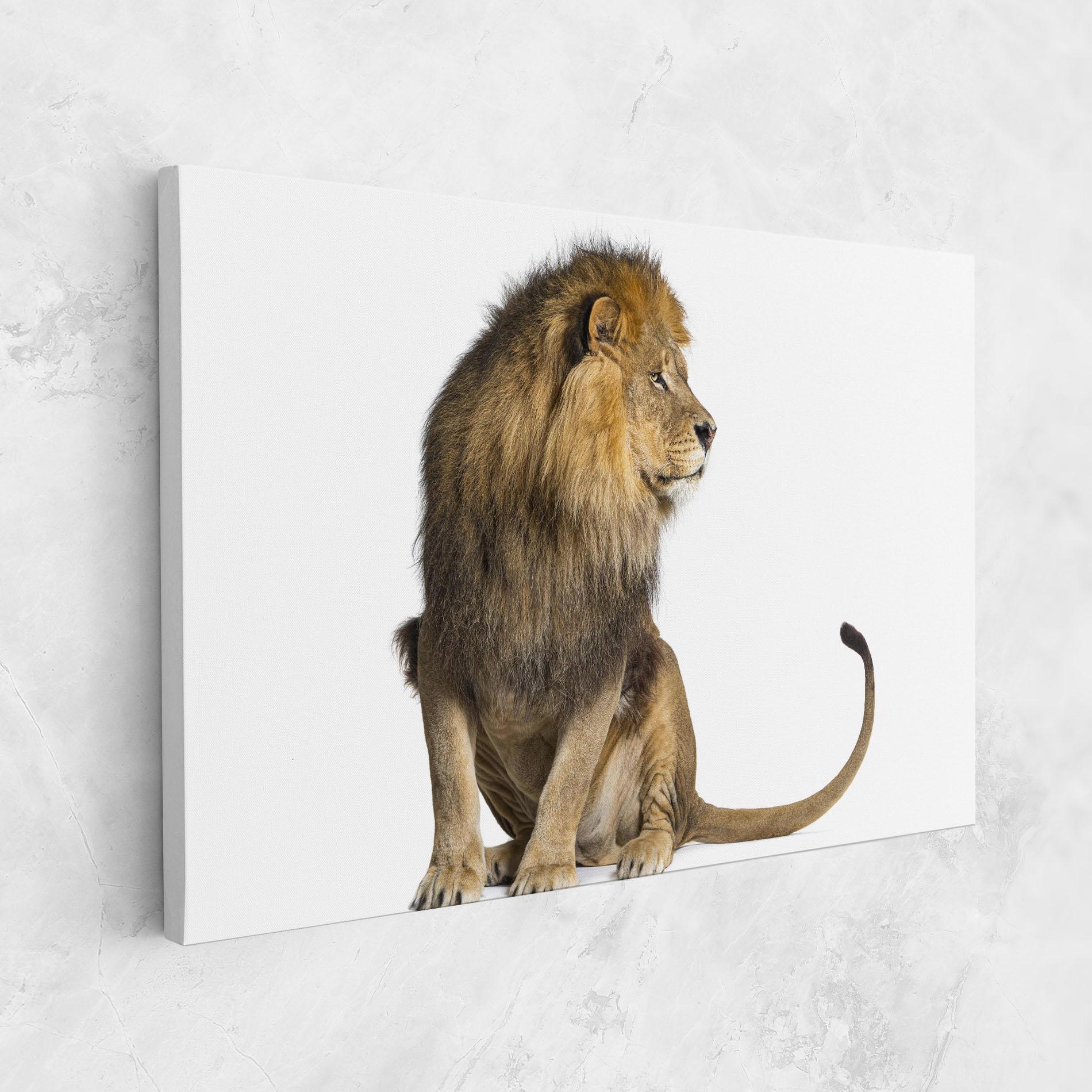 Vászonkép Big Lion mockup 1