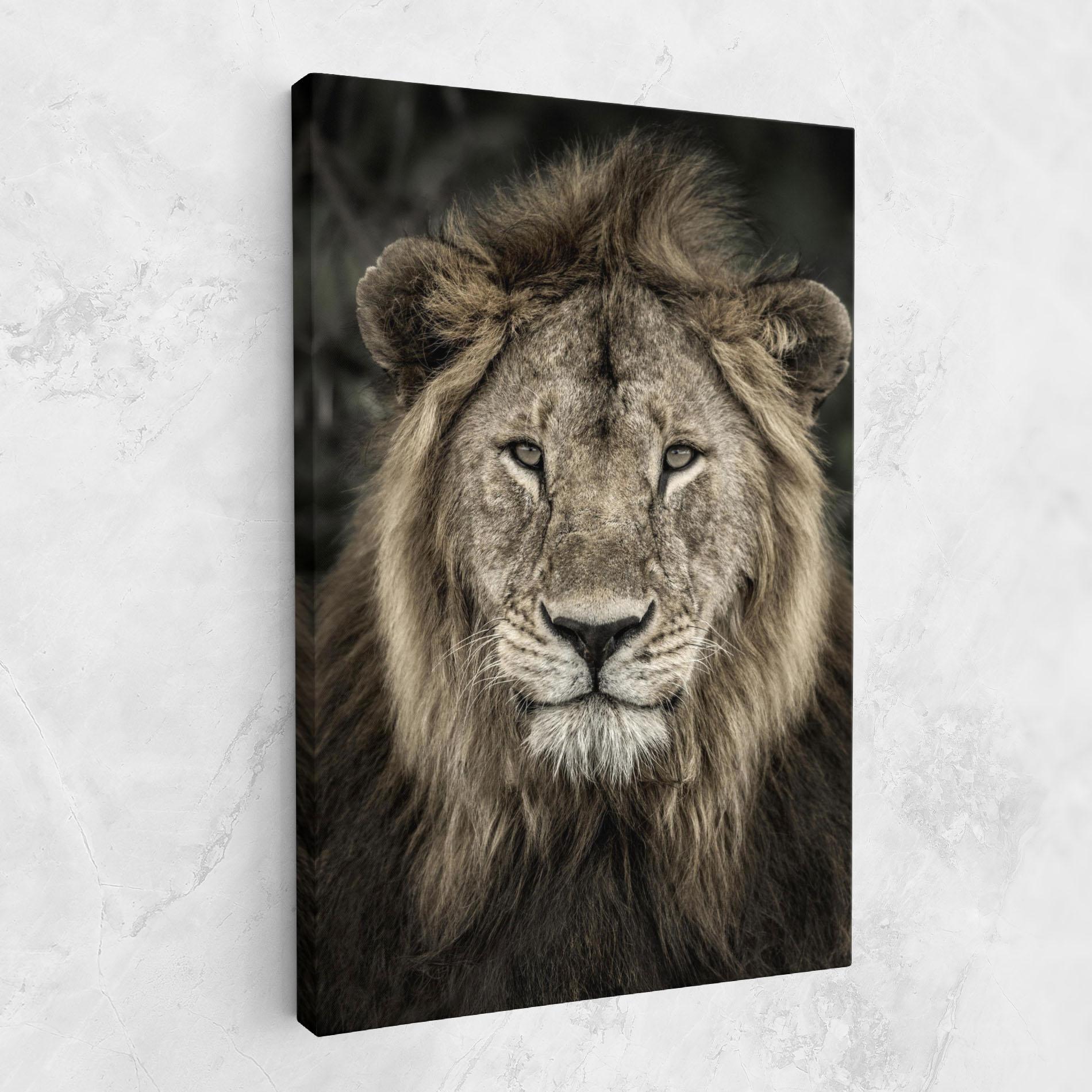 Vászonkép Lion Close Up mockup 1