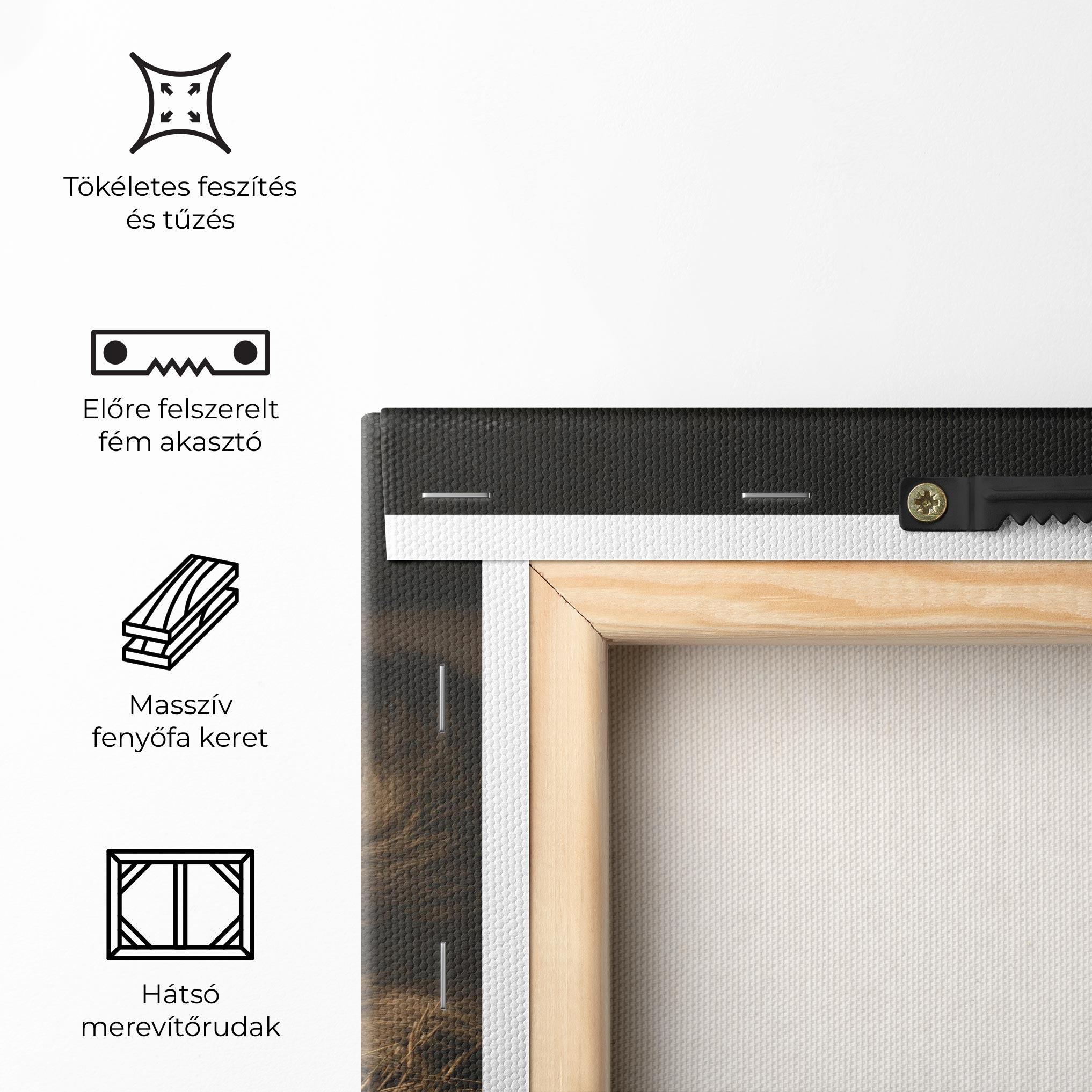 Vászonkép Lion Laying Down mockup 5