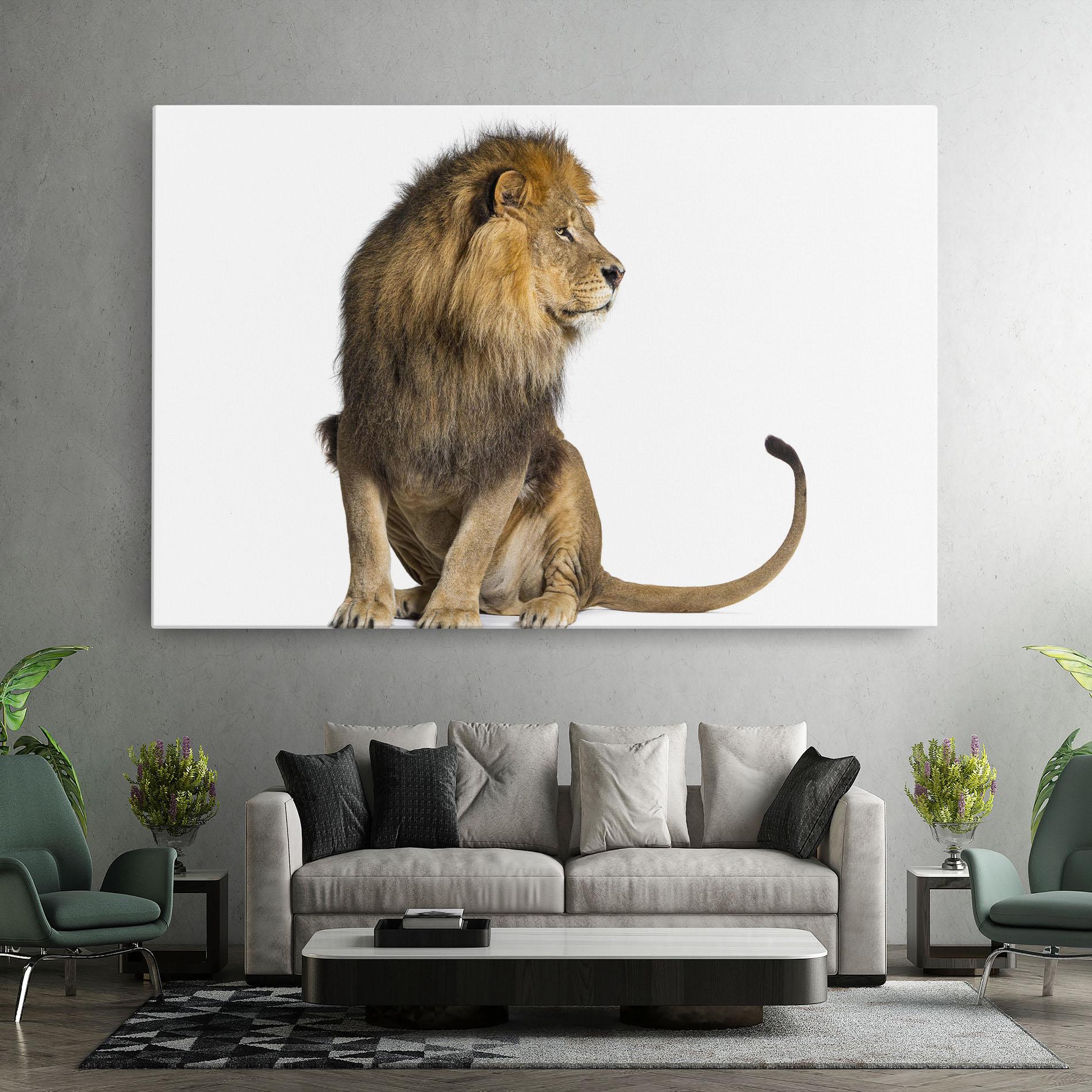 Vászonkép Big Lion mockup 7