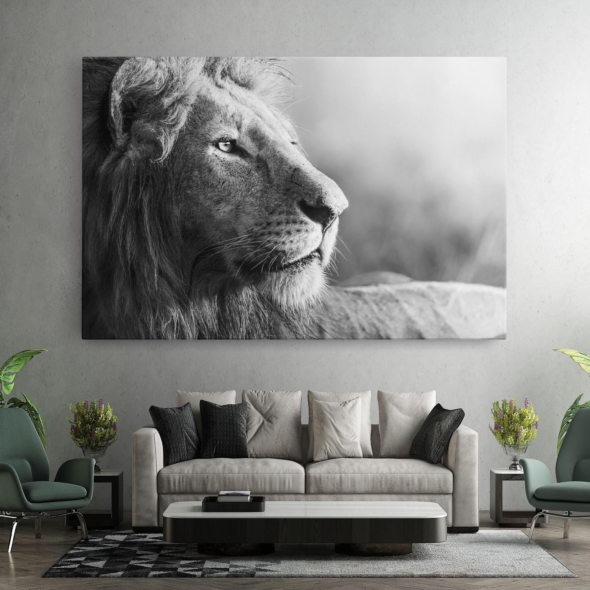 Vászonkép Grey Lion Head mockup 7