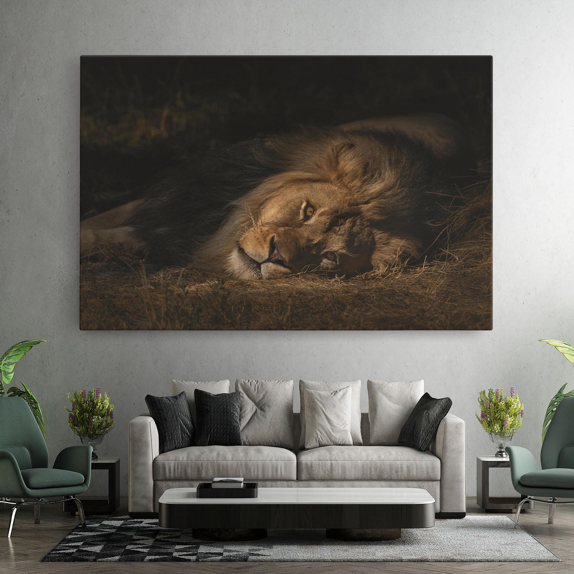 Vászonkép Lion Laying Down mockup 7