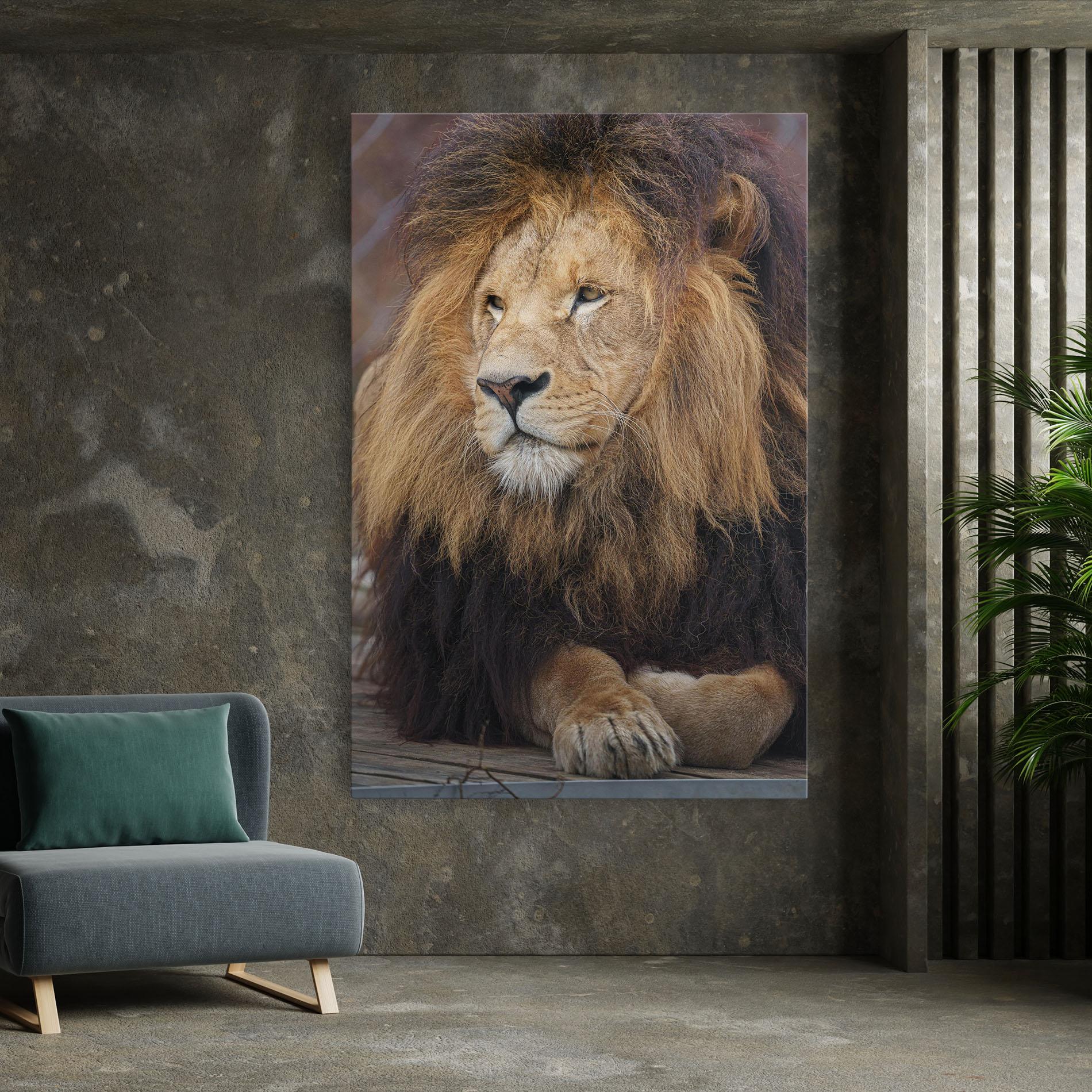 Vászonkép Lion Chilling mockup 7