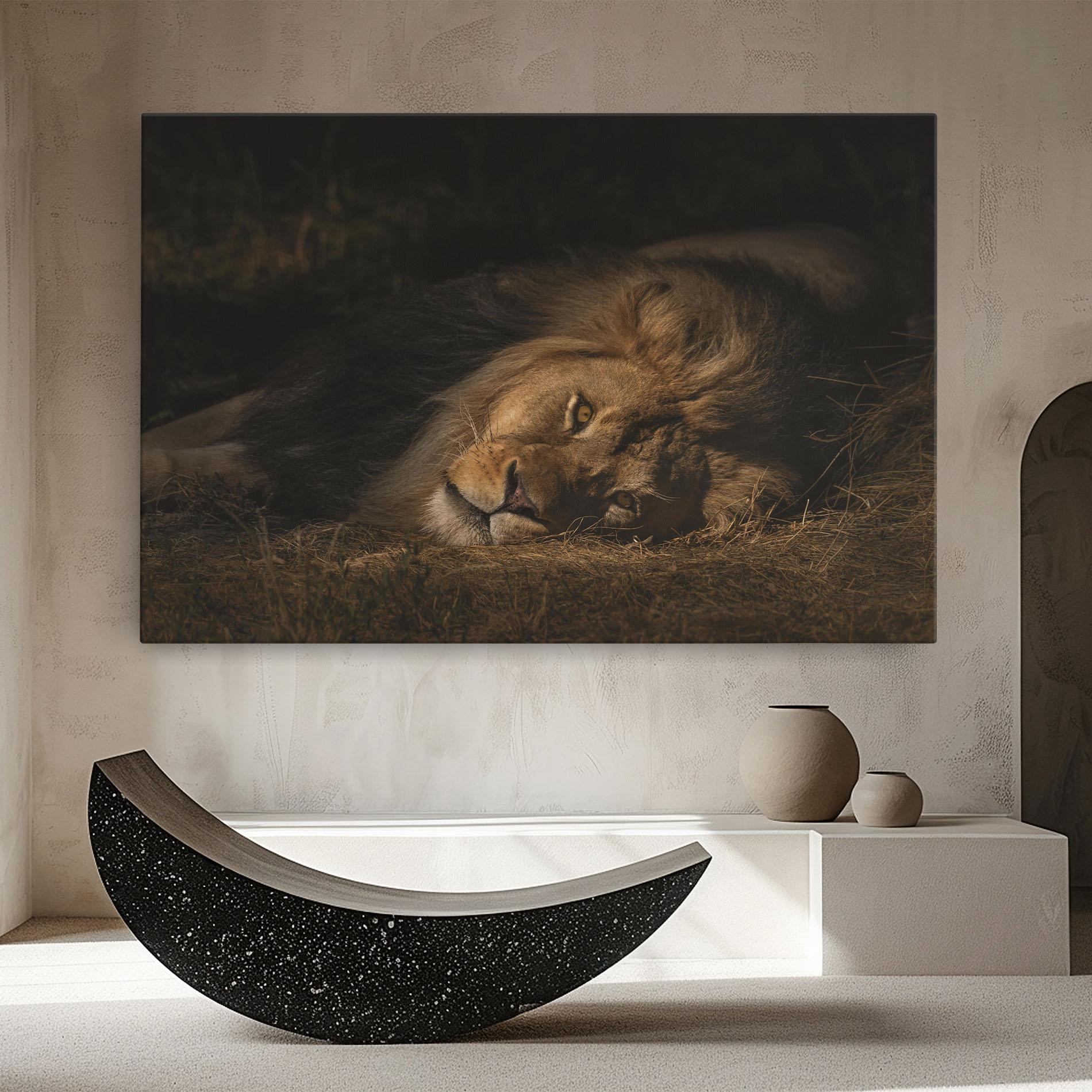 Vászonkép Lion Laying Down mockup 8