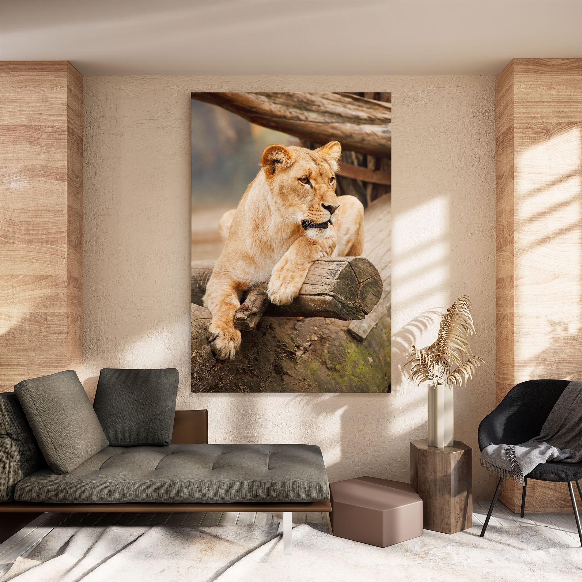 Vászonkép Female Lion Sitting mockup 8