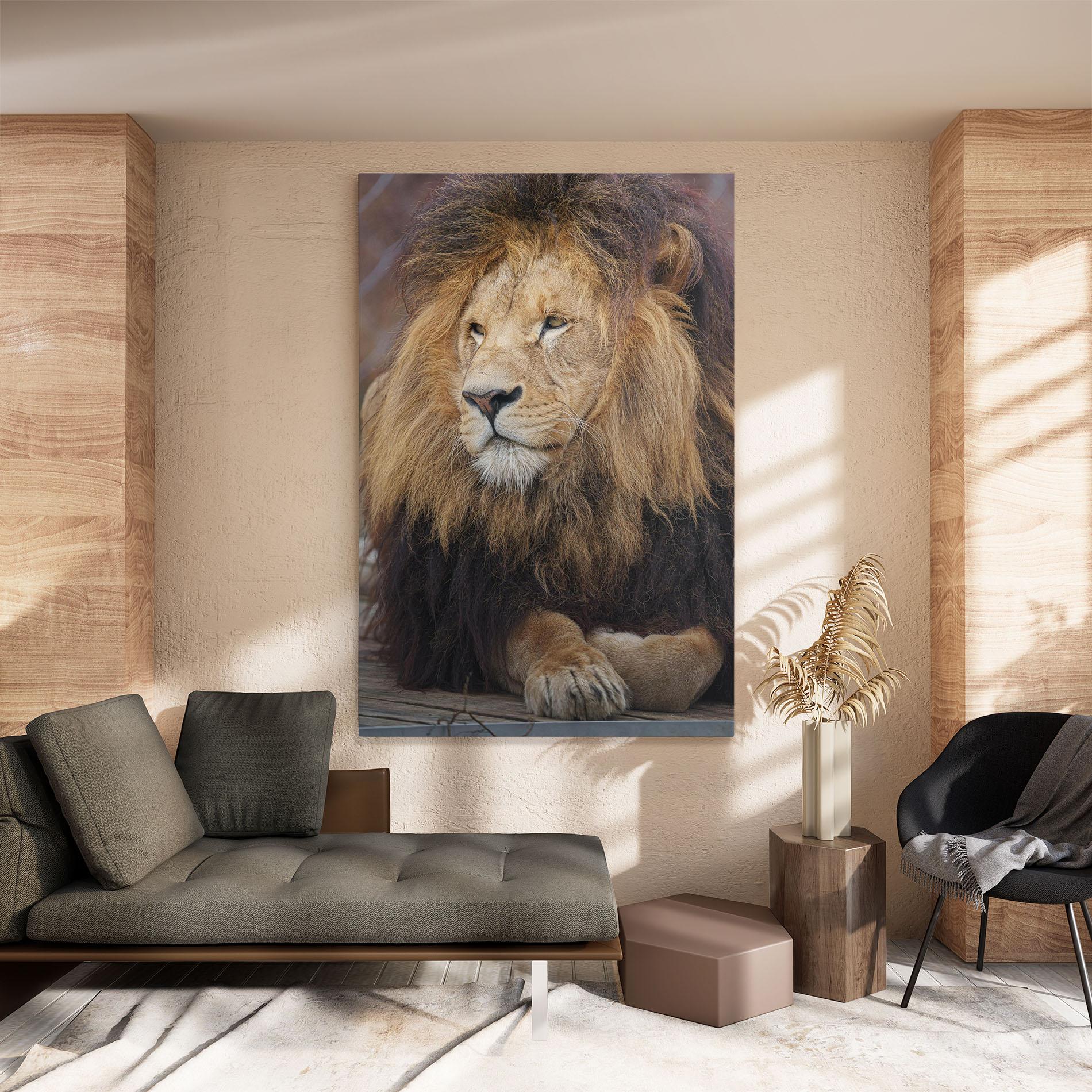 Vászonkép Lion Chilling mockup 8