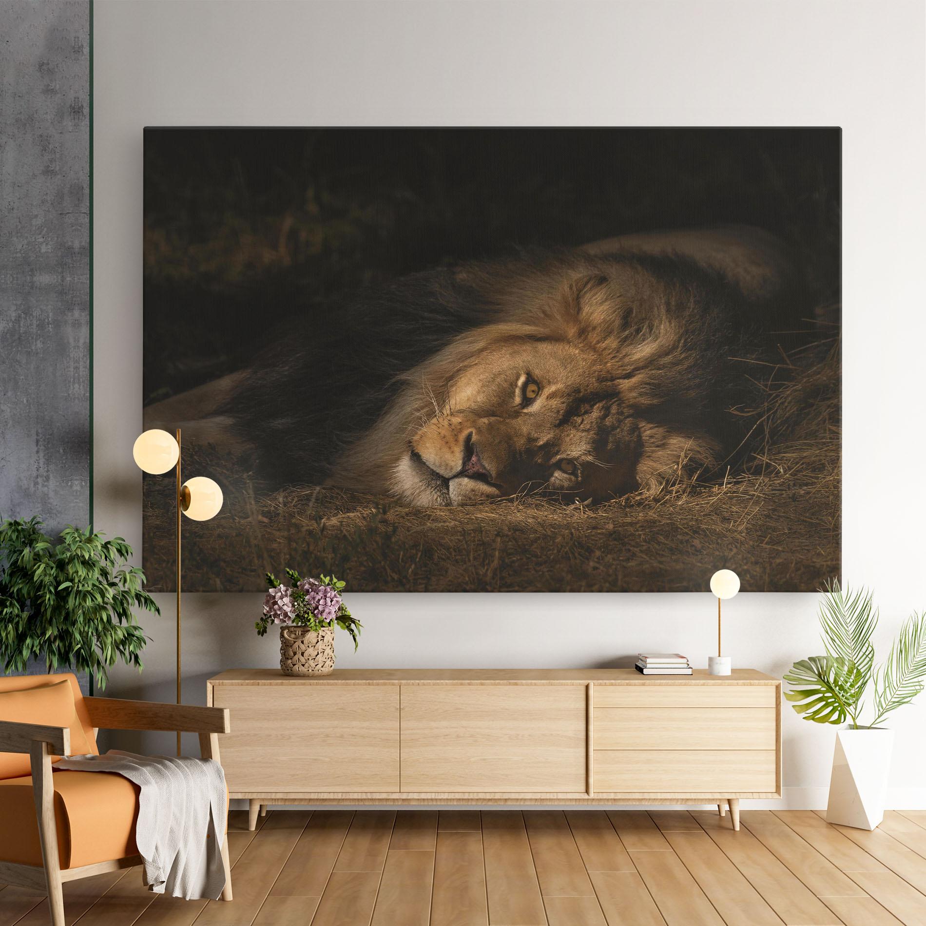 Vászonkép Lion Laying Down mockup 9
