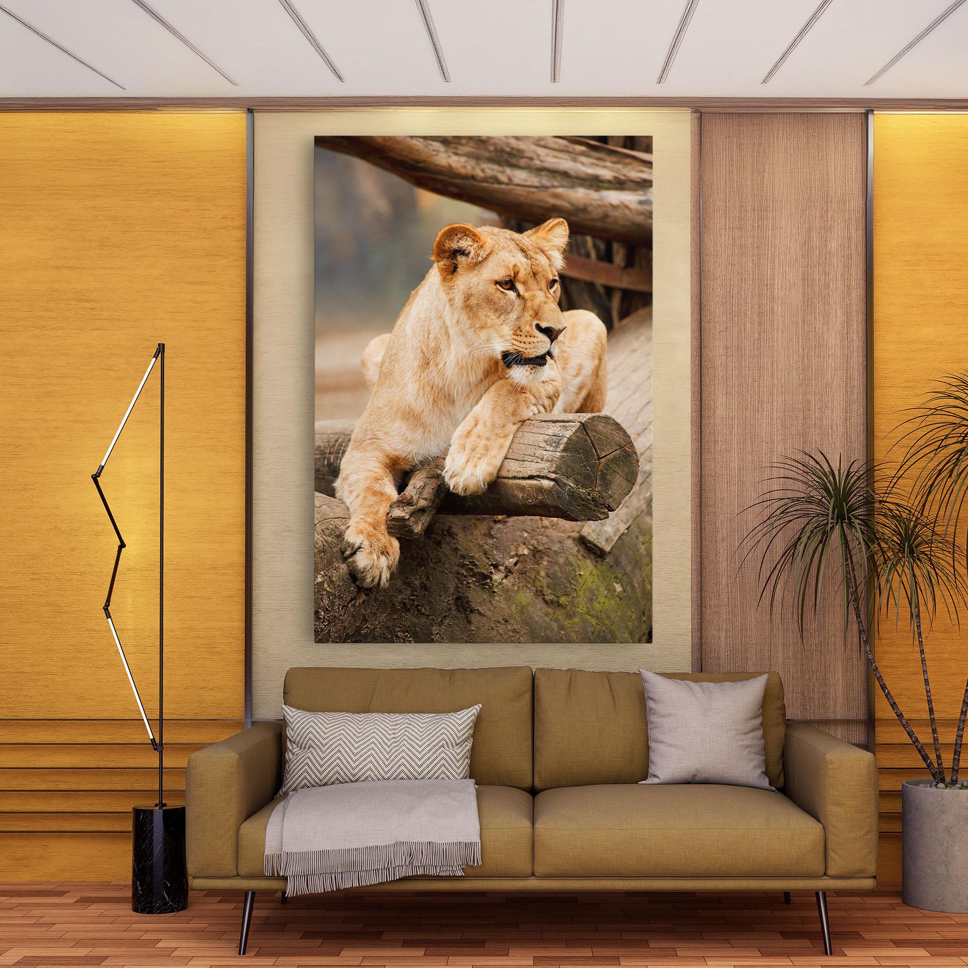 Vászonkép Female Lion Sitting mockup 9