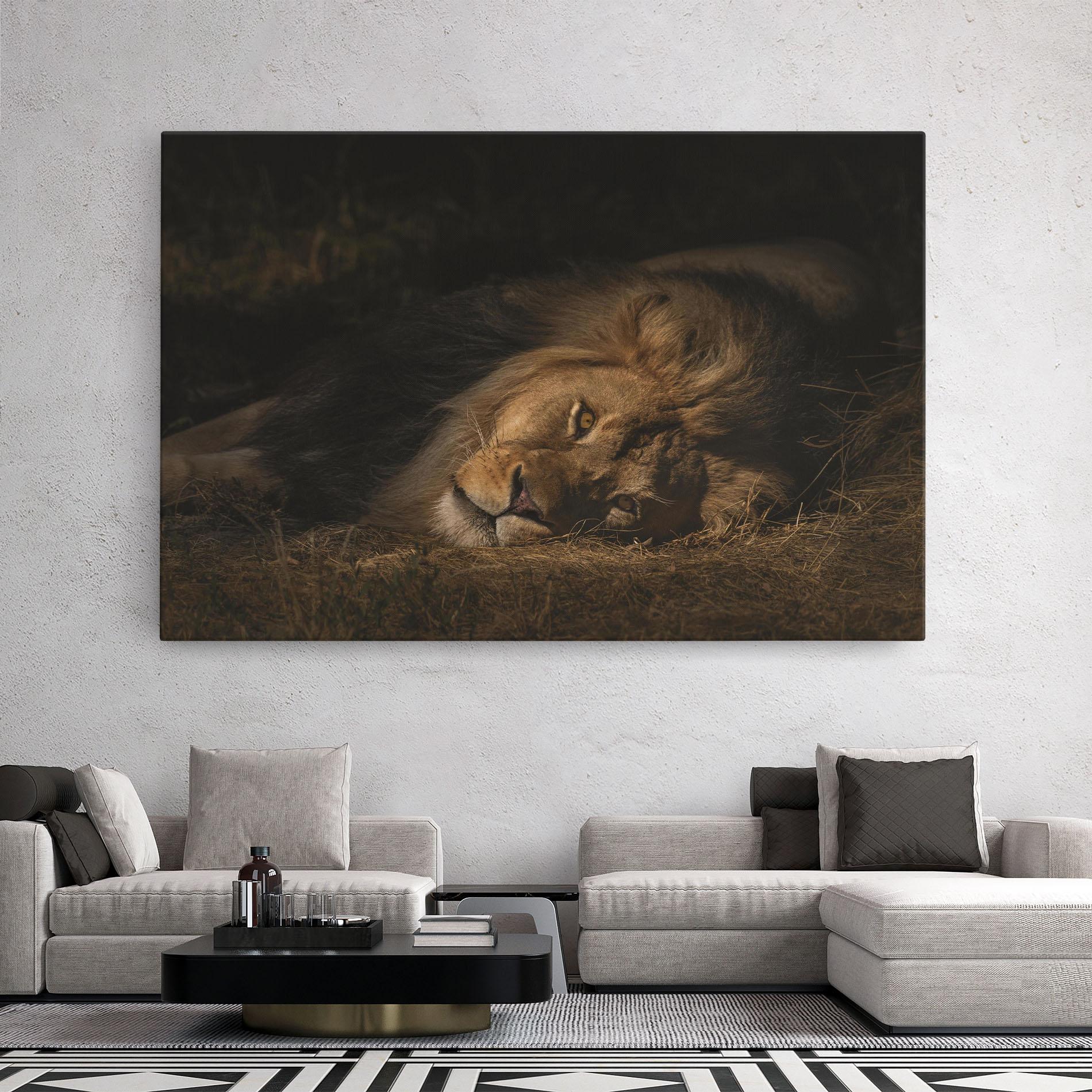 Vászonkép Lion Laying Down mockup 2