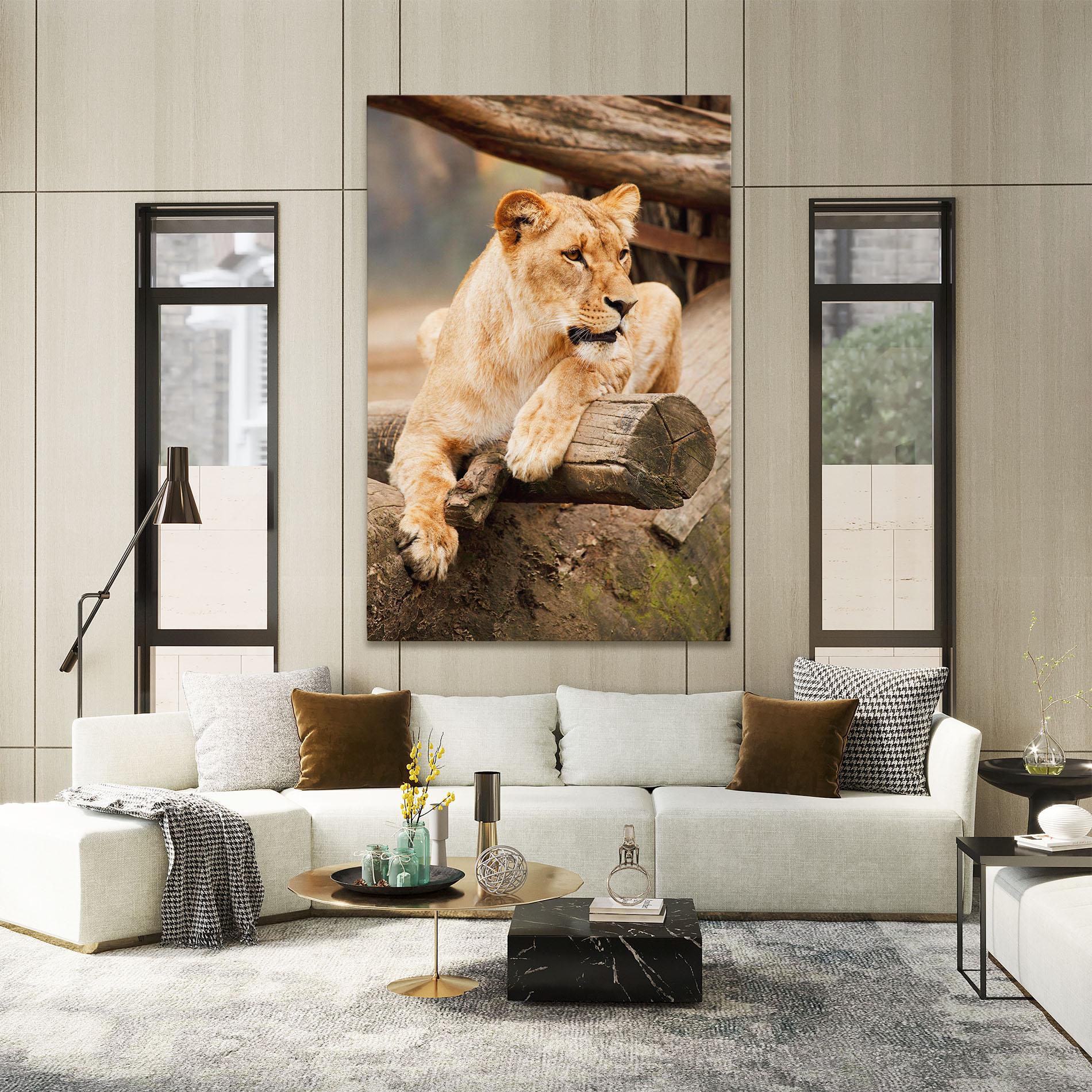 Vászonkép Female Lion Sitting mockup 2