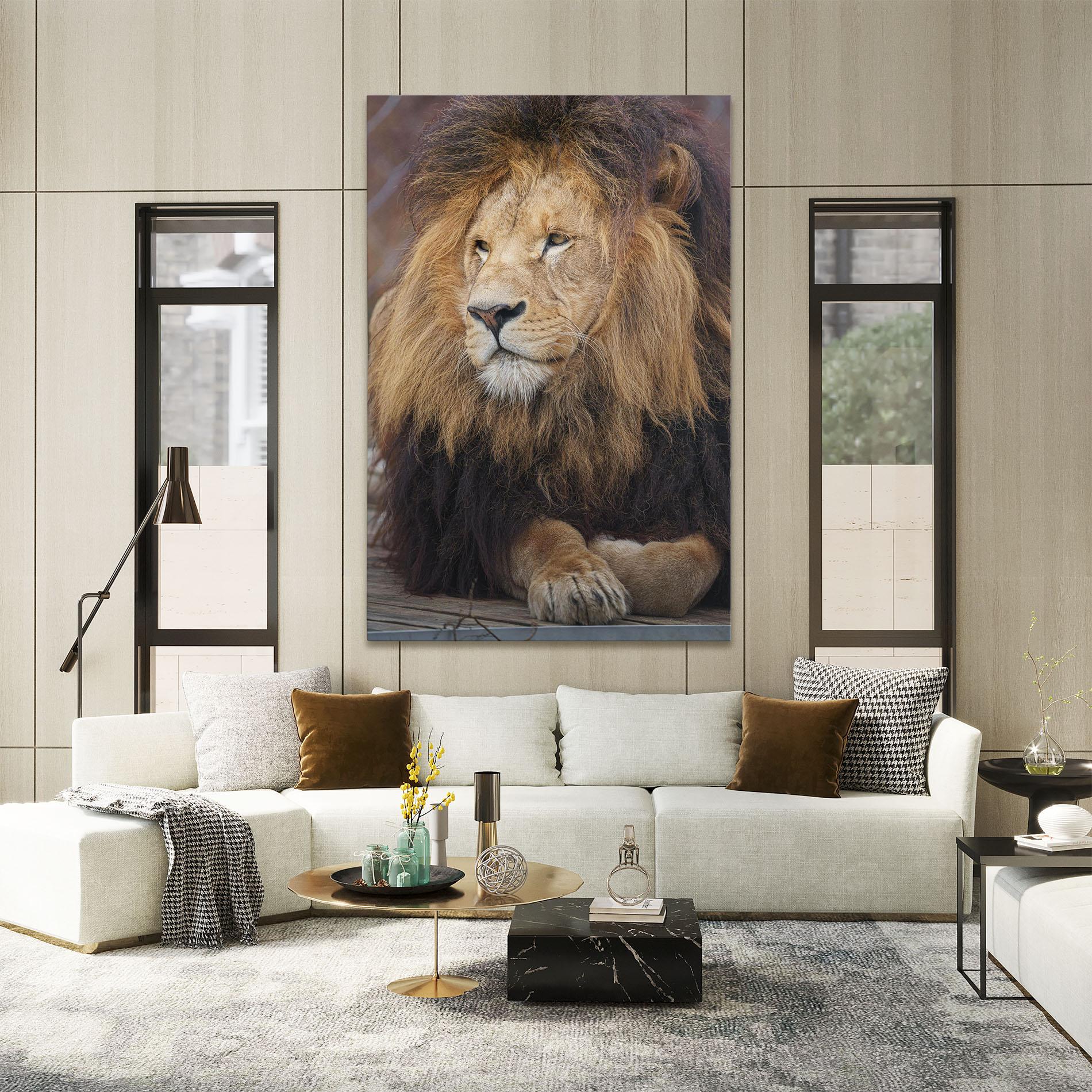 Vászonkép Lion Chilling mockup 2