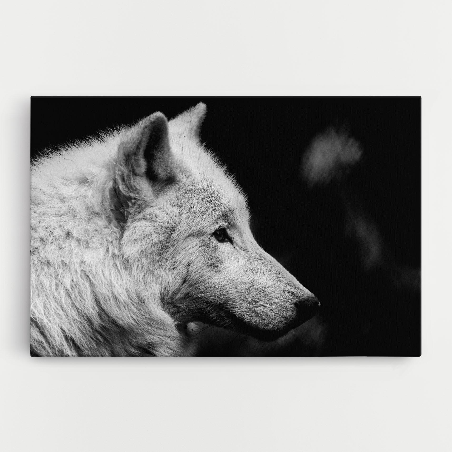 Vászonkép Grey Wolf mockup 0