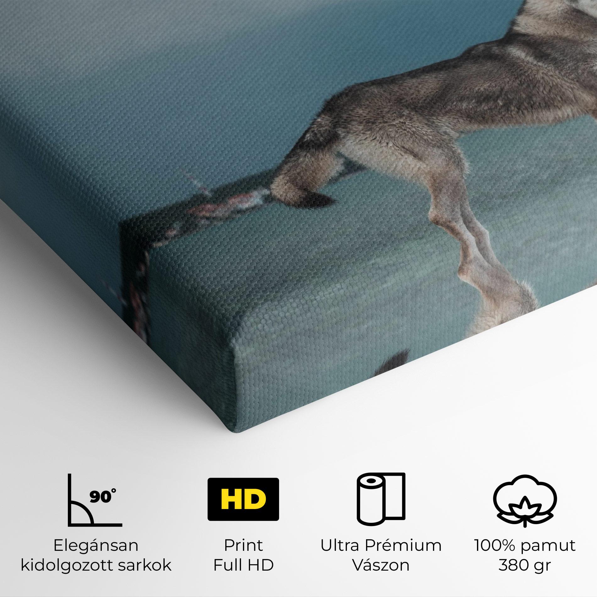 Vászonkép Grey Wolf Looking mockup 4