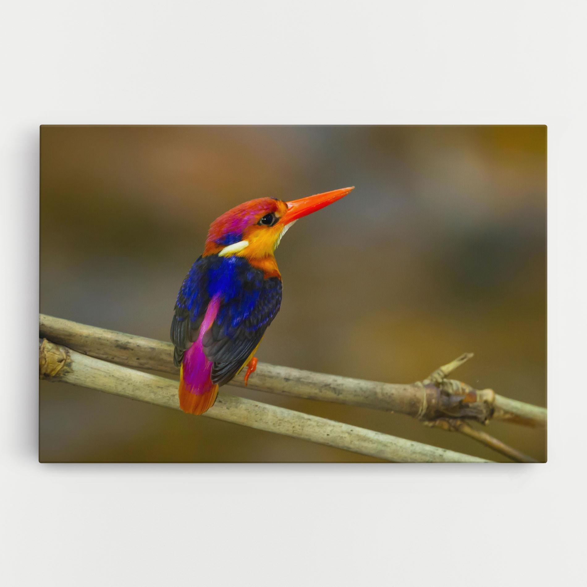 Vászonkép Colorful Bird mockup 0