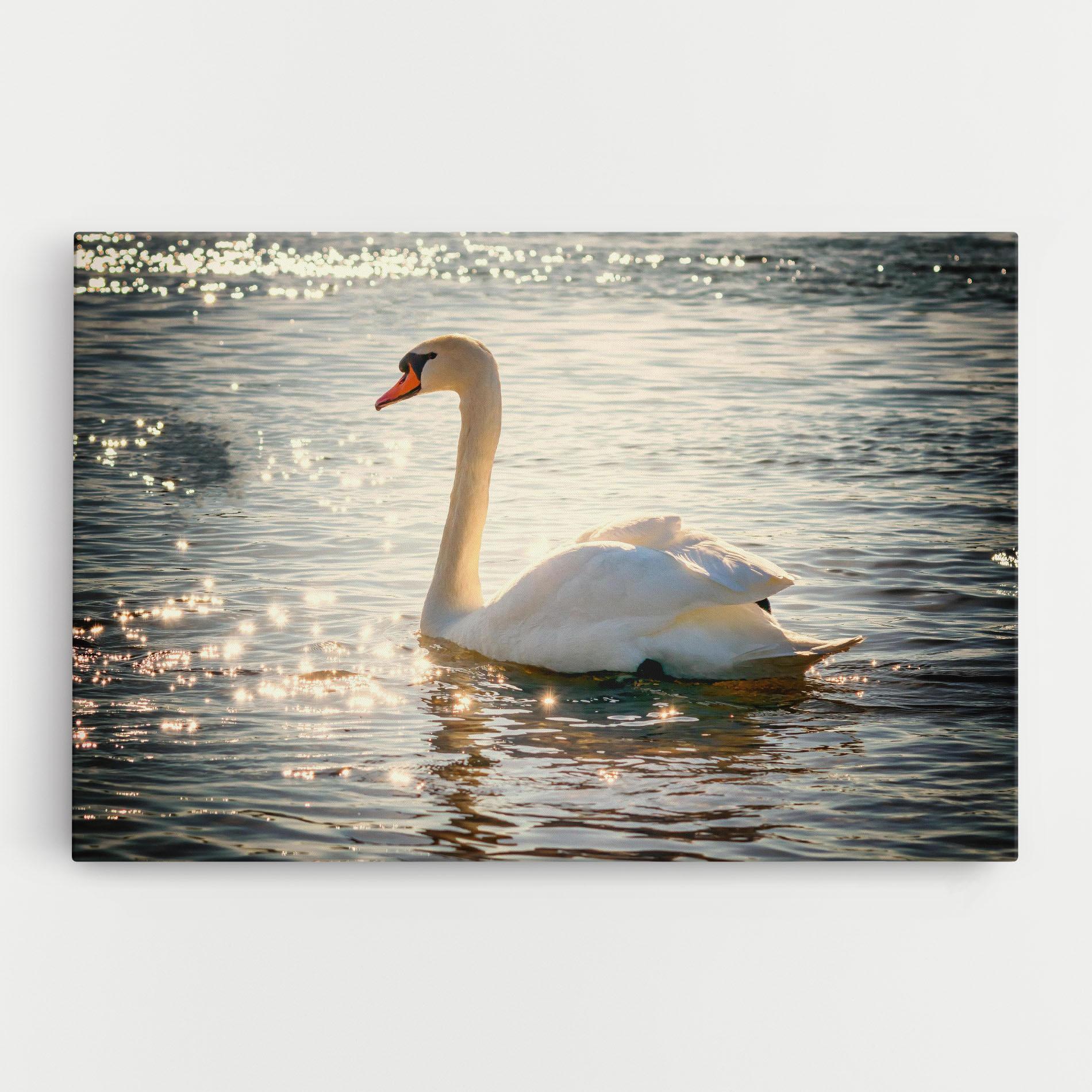 Vászonkép Swan On Lake mockup 0