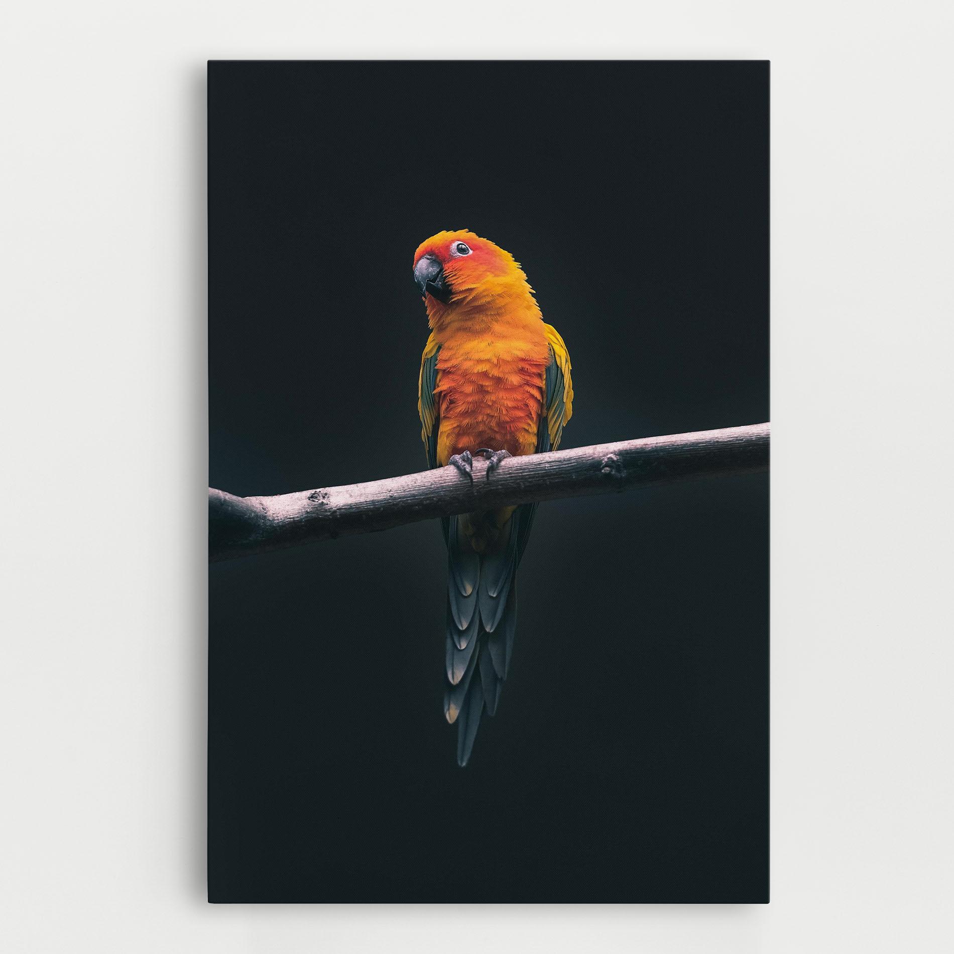 Vászonkép Fire Parrot mockup 0