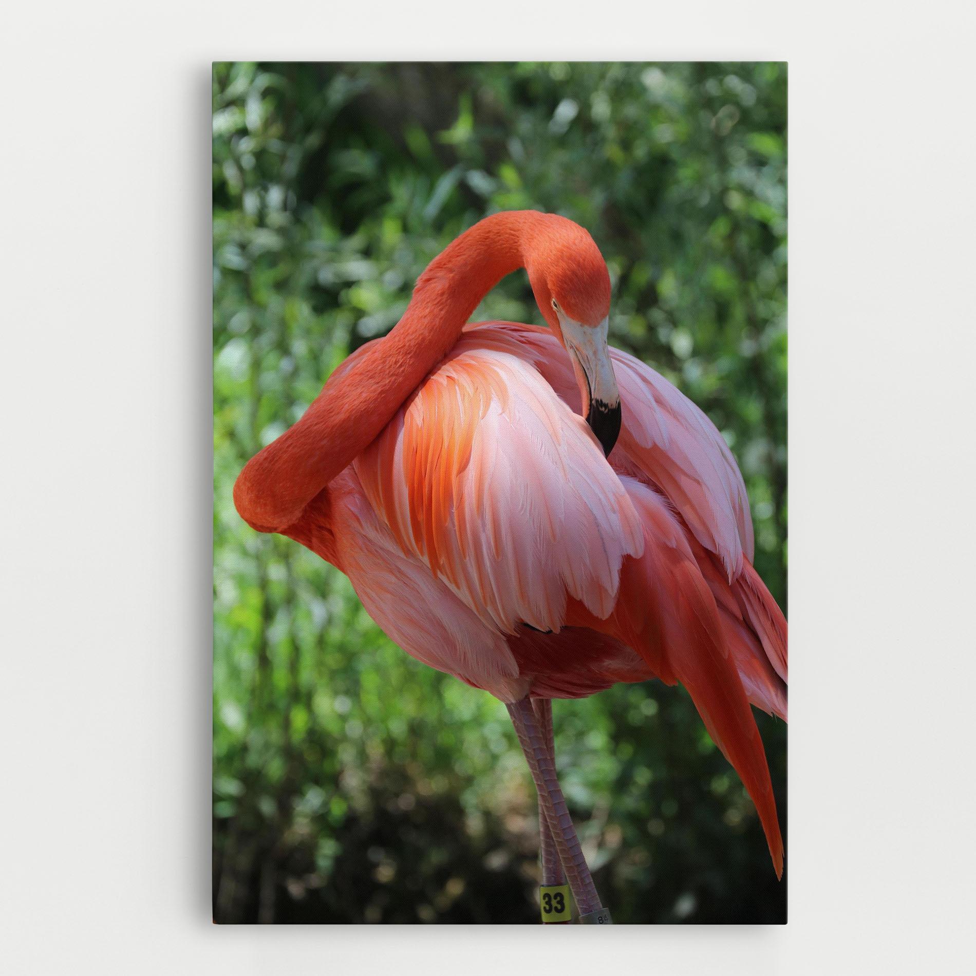 Vászonkép Red Flamingo mockup 0