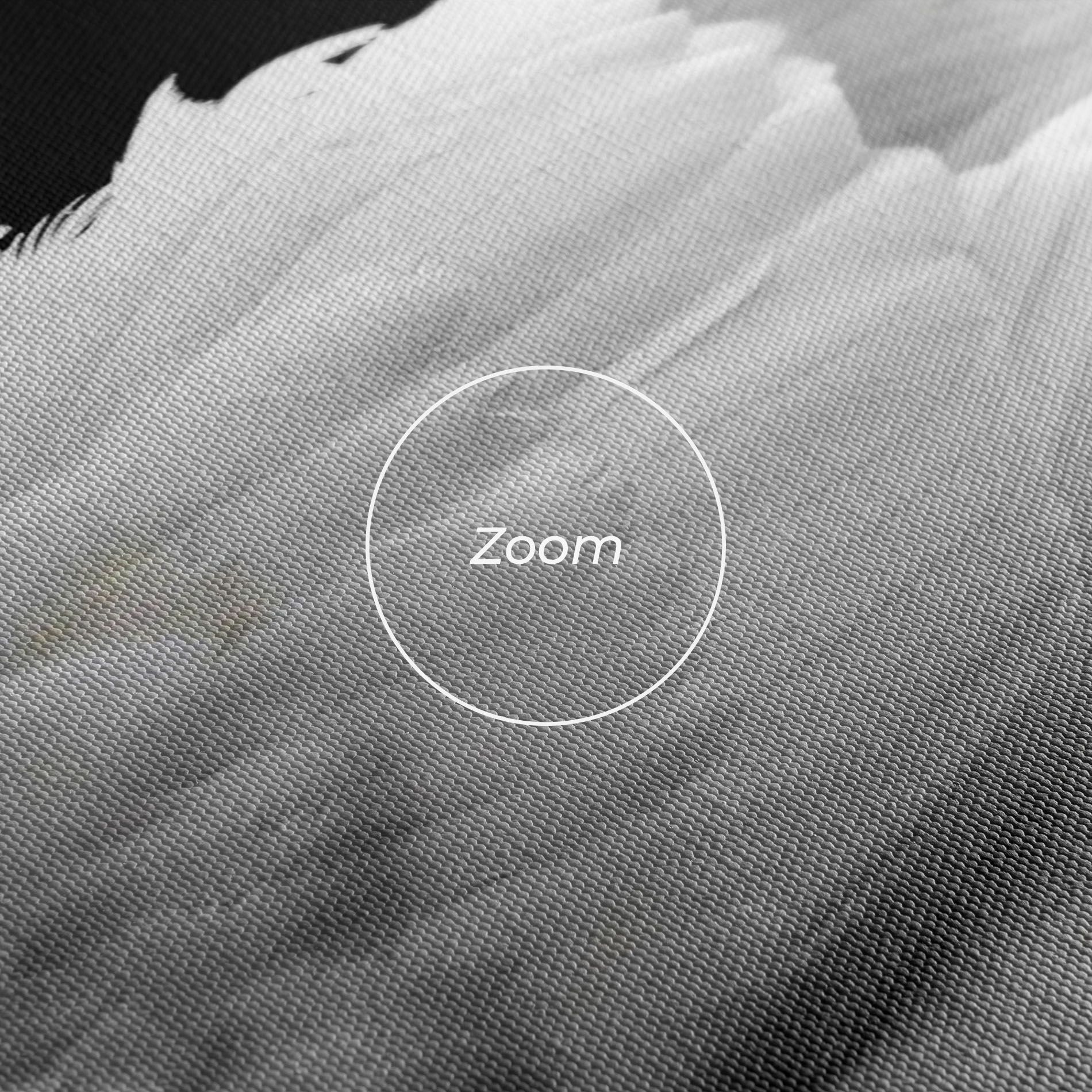 Black And White Swan mockup 3