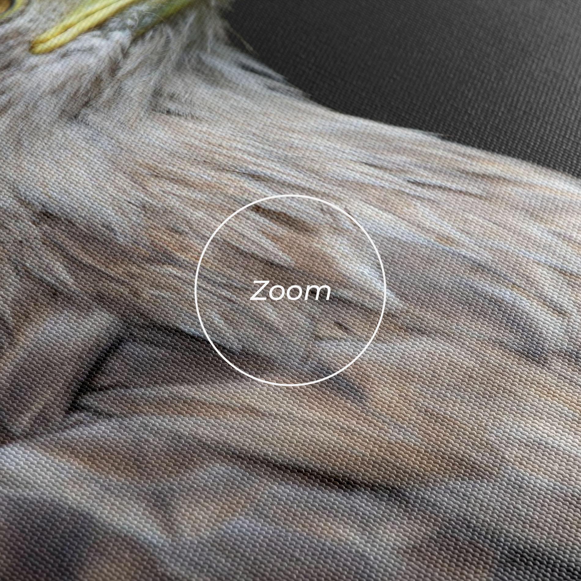 Vászonkép Close Up Eagle mockup 3