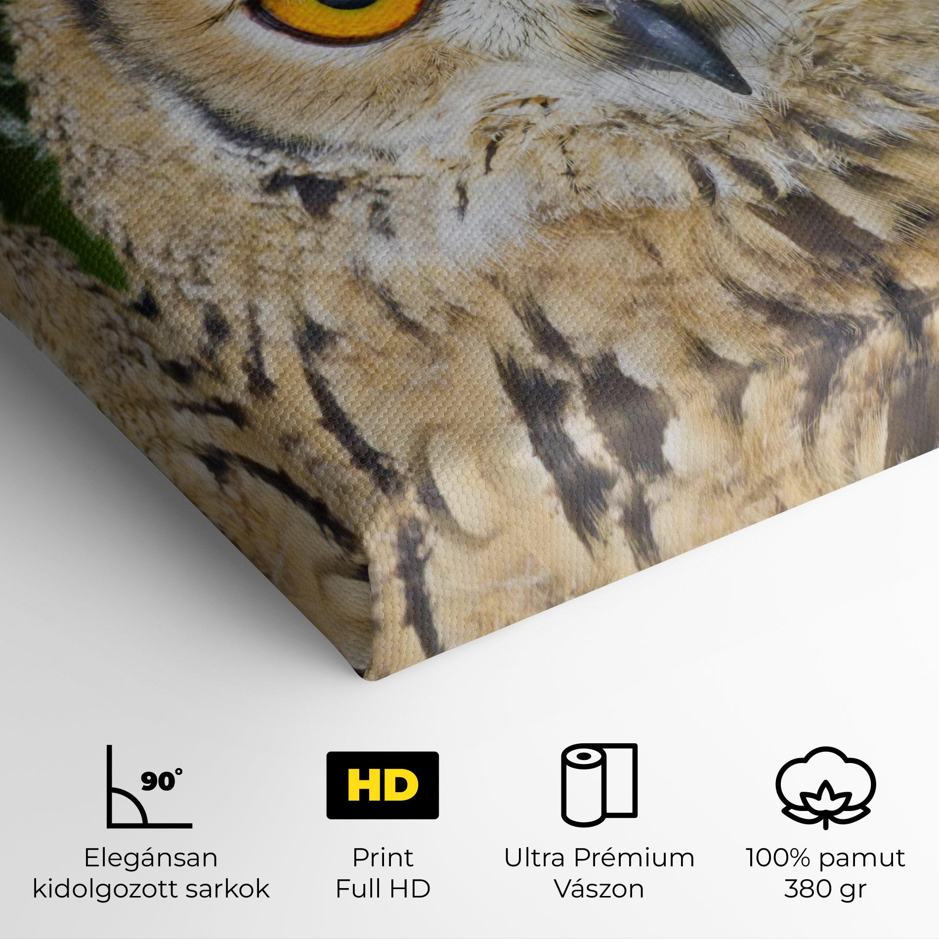 Vászonkép Angry Owl mockup 4