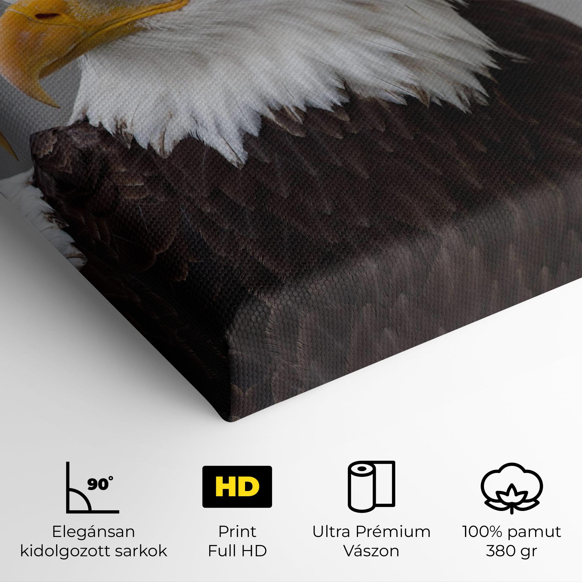 Vászonkép Beautiful Eagle mockup 4