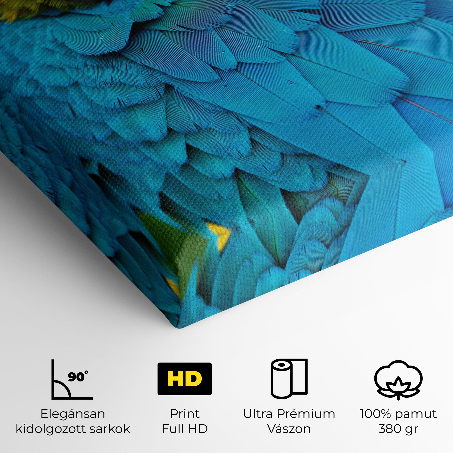 Vászonkép Blue Parrot mockup 4