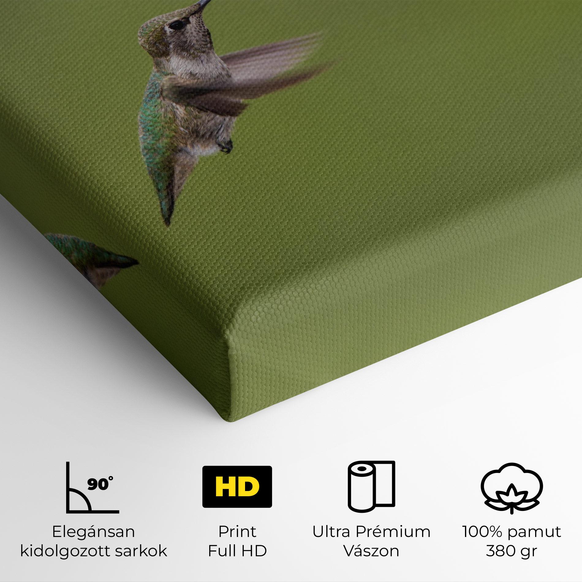 Vászonkép Cute Hummingbird mockup 4