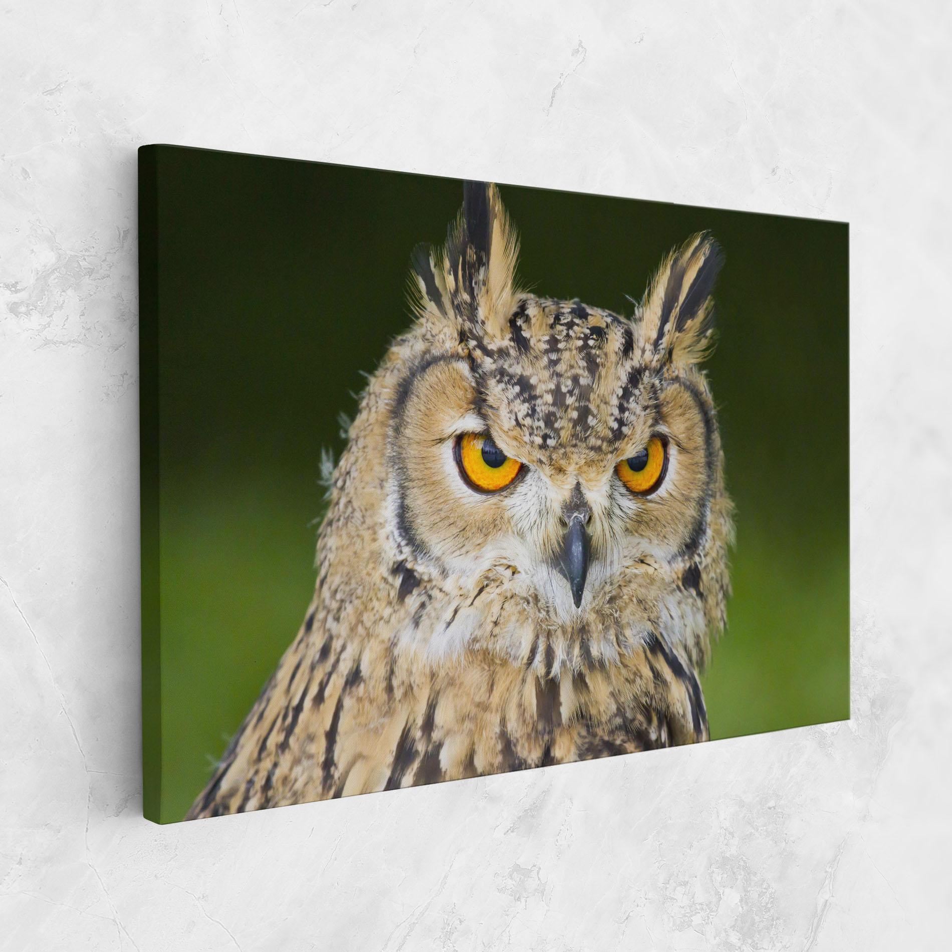 Vászonkép Angry Owl mockup 1