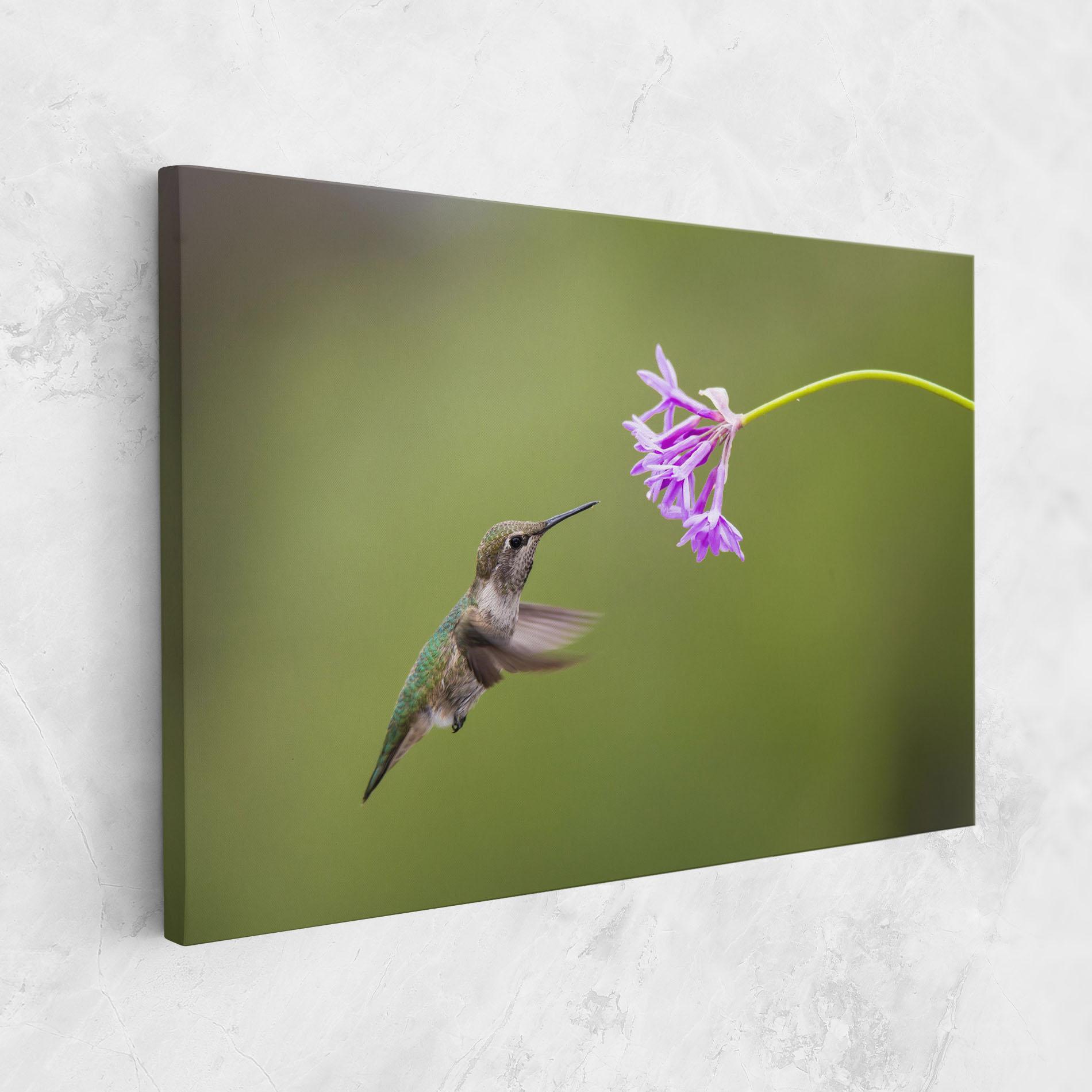 Vászonkép Cute Hummingbird mockup 1