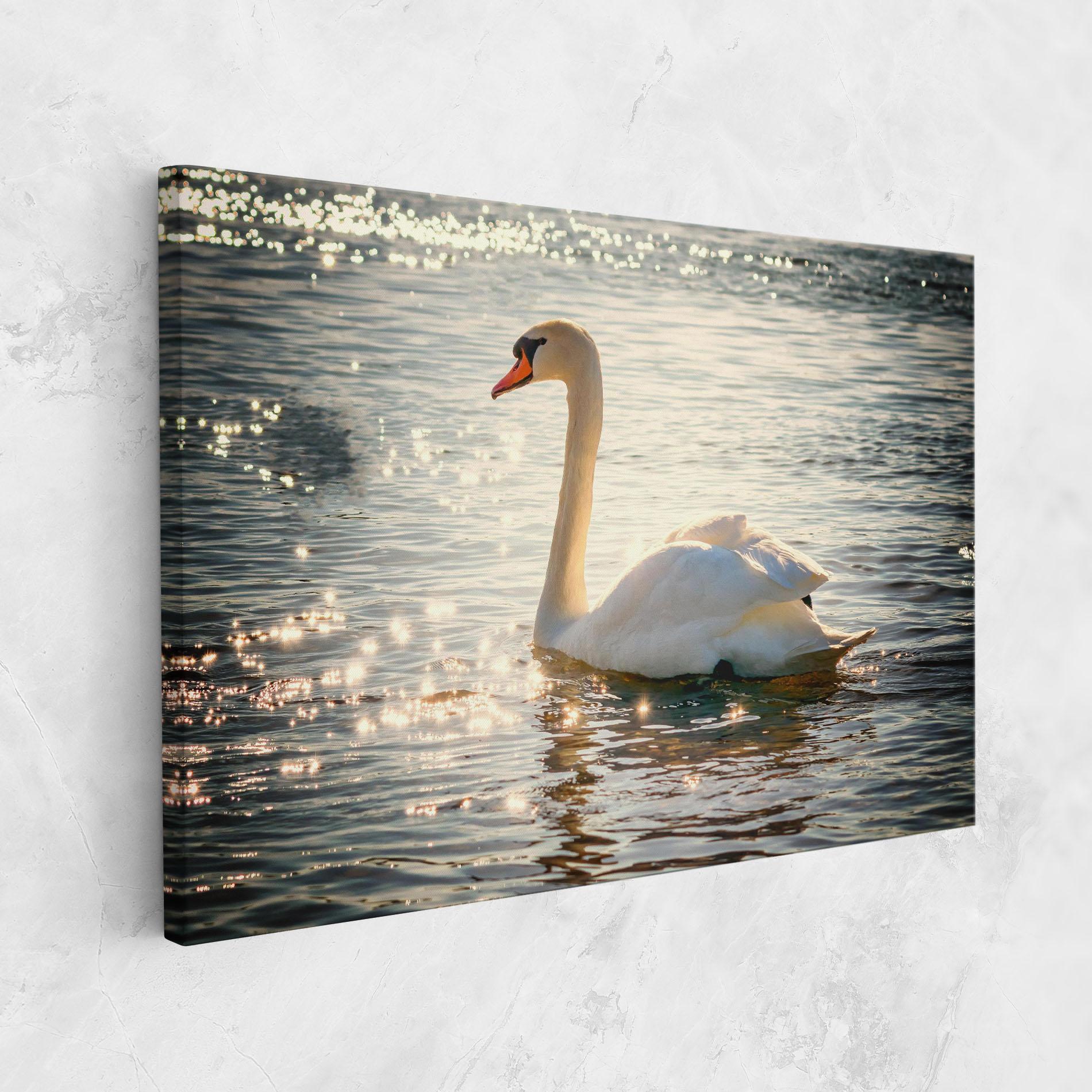 Vászonkép Swan On Lake mockup 1