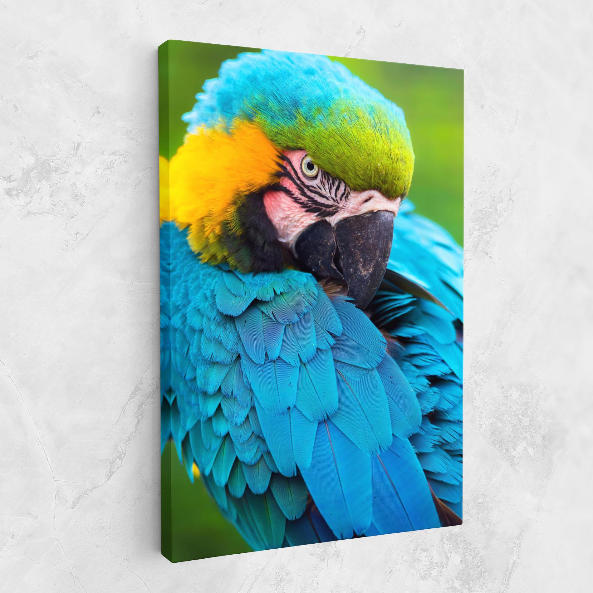 Vászonkép Blue Parrot mockup 1