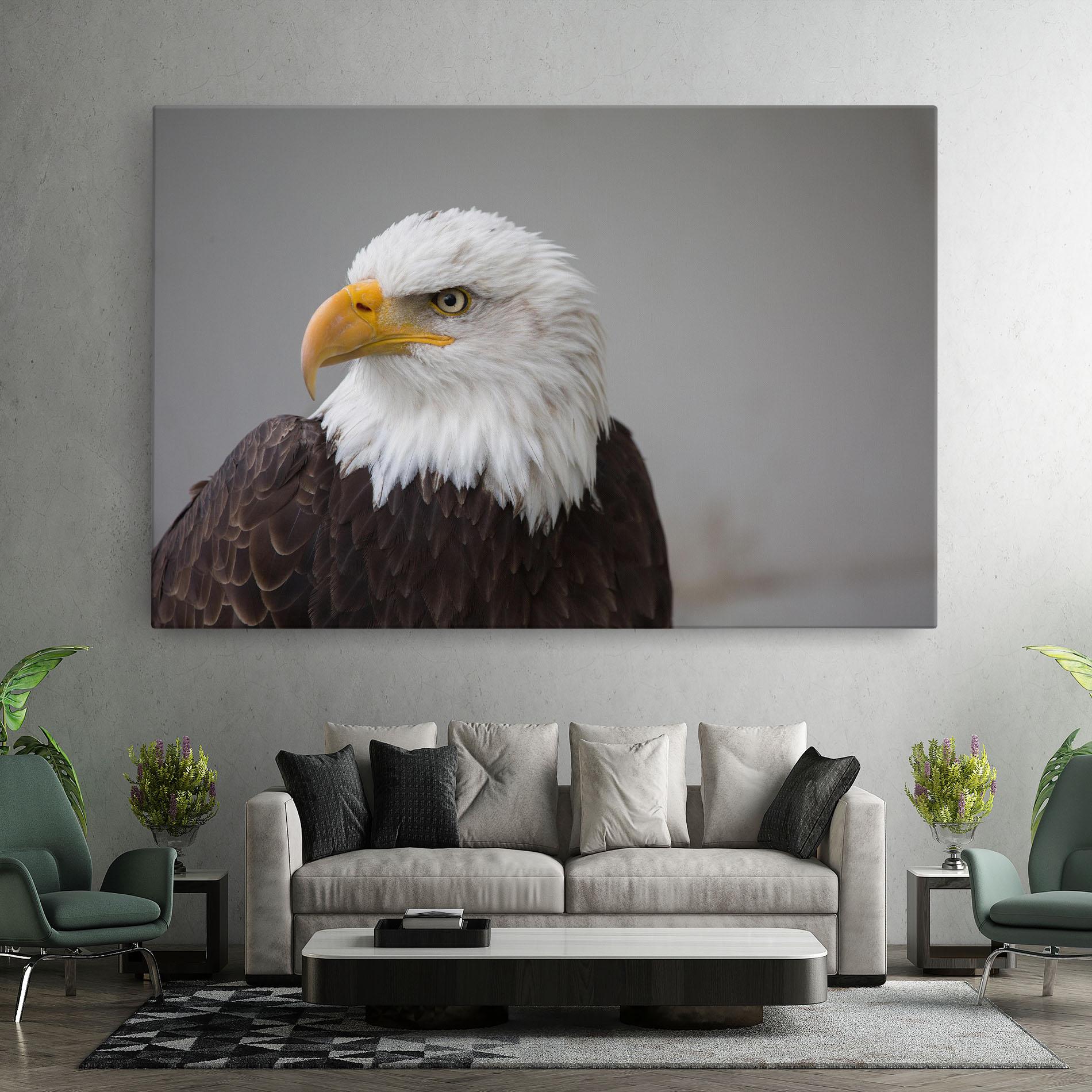 Vászonkép Beautiful Eagle mockup 7