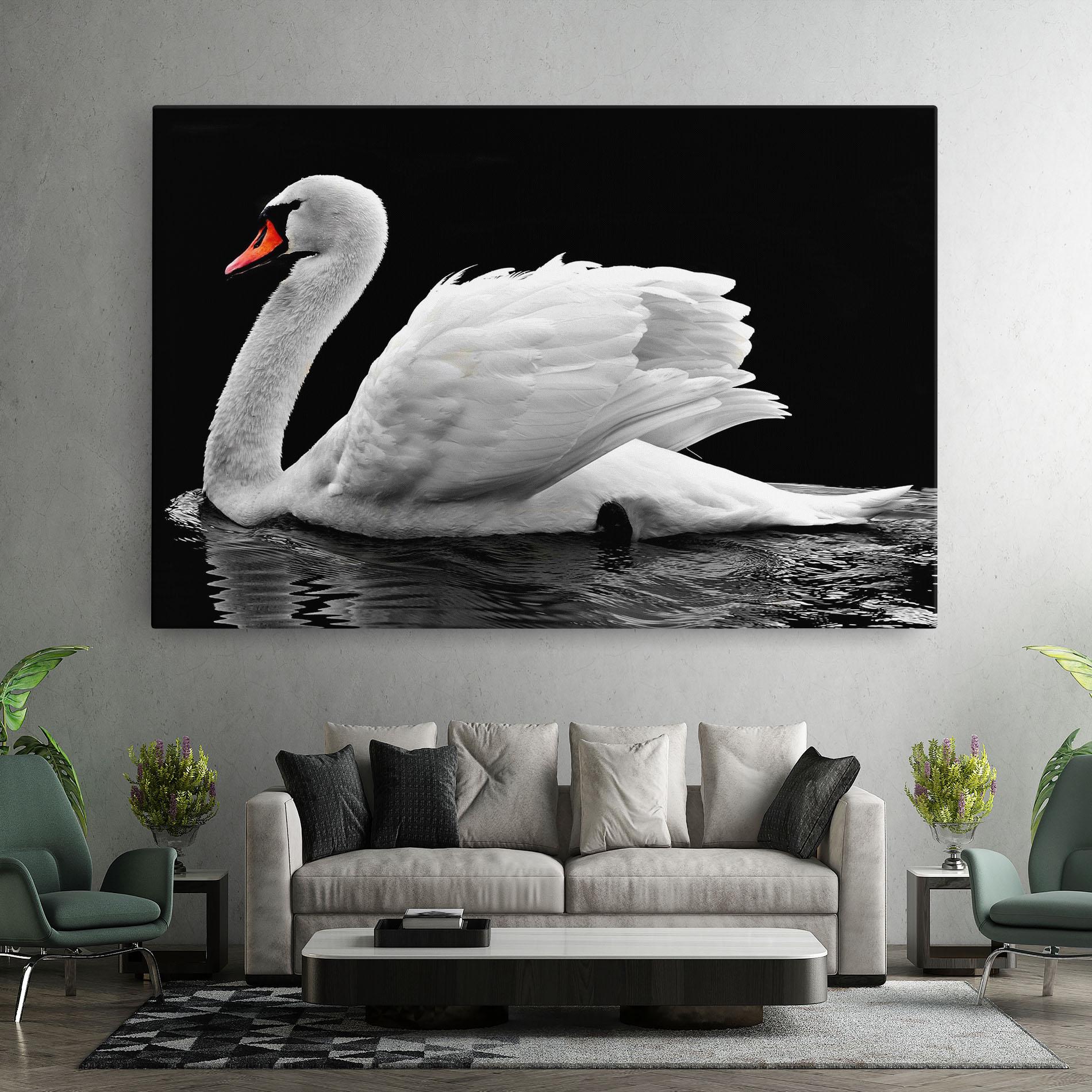 Vászonkép Black And White Swan mockup 7