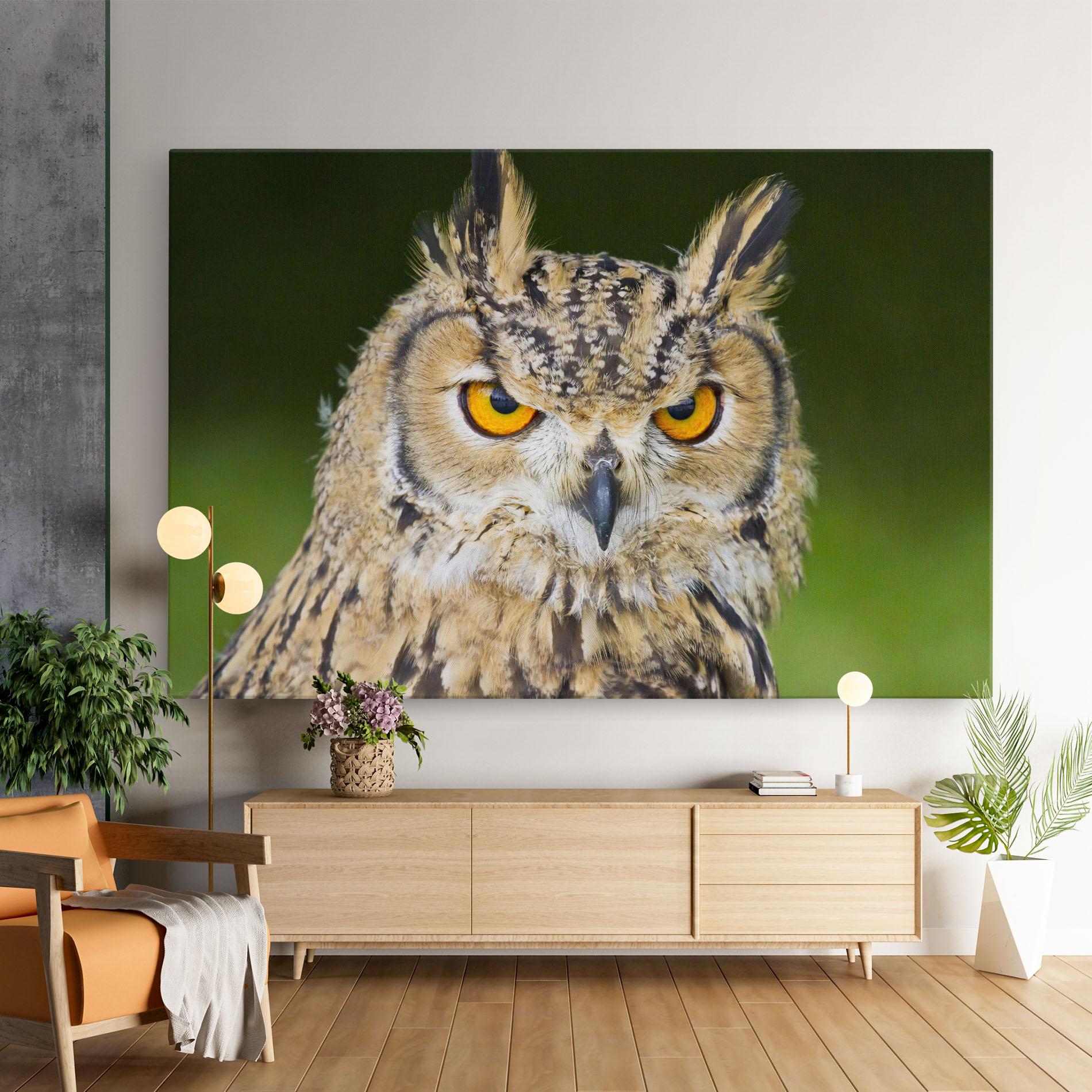 Vászonkép Angry Owl mockup 9