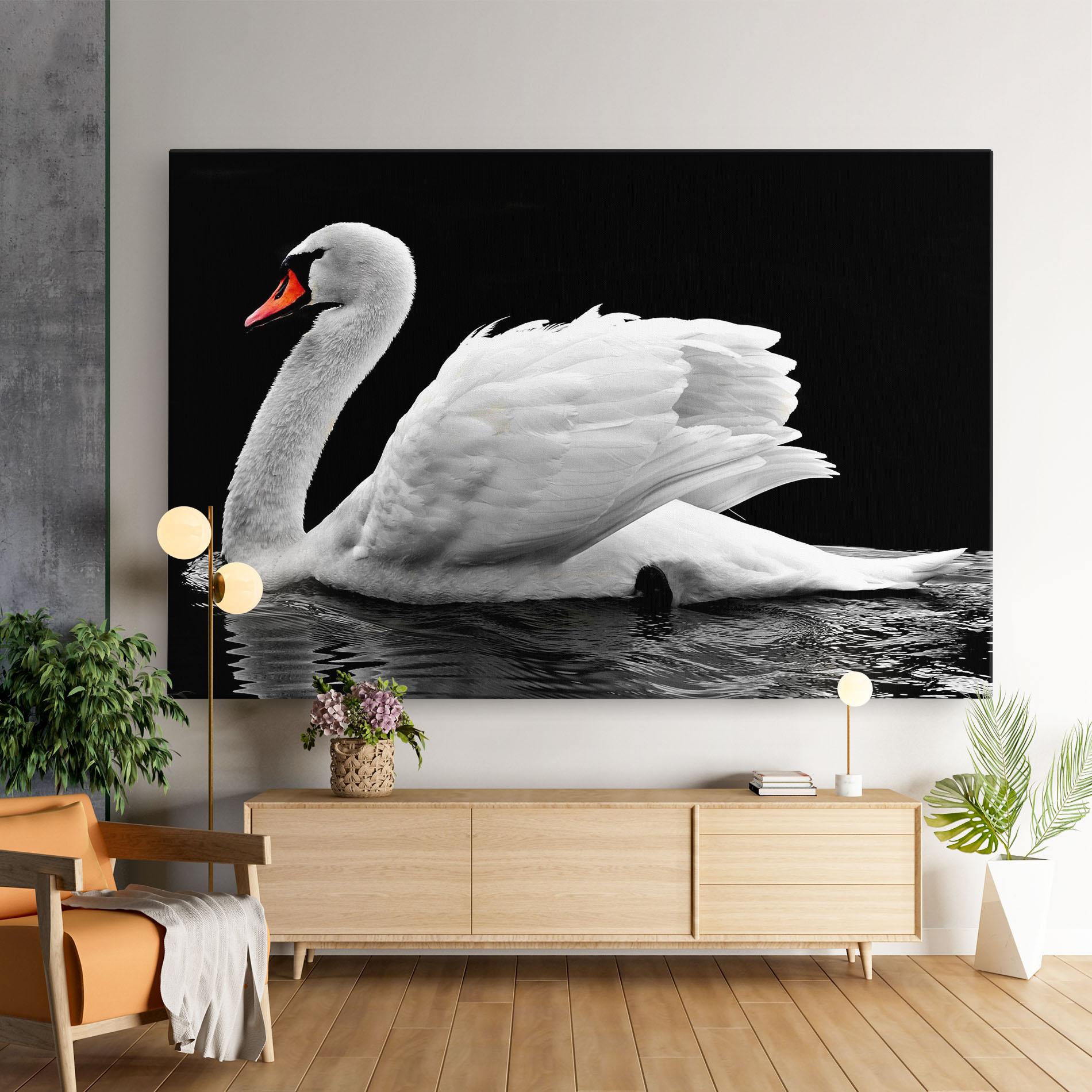 Vászonkép Black And White Swan mockup 9