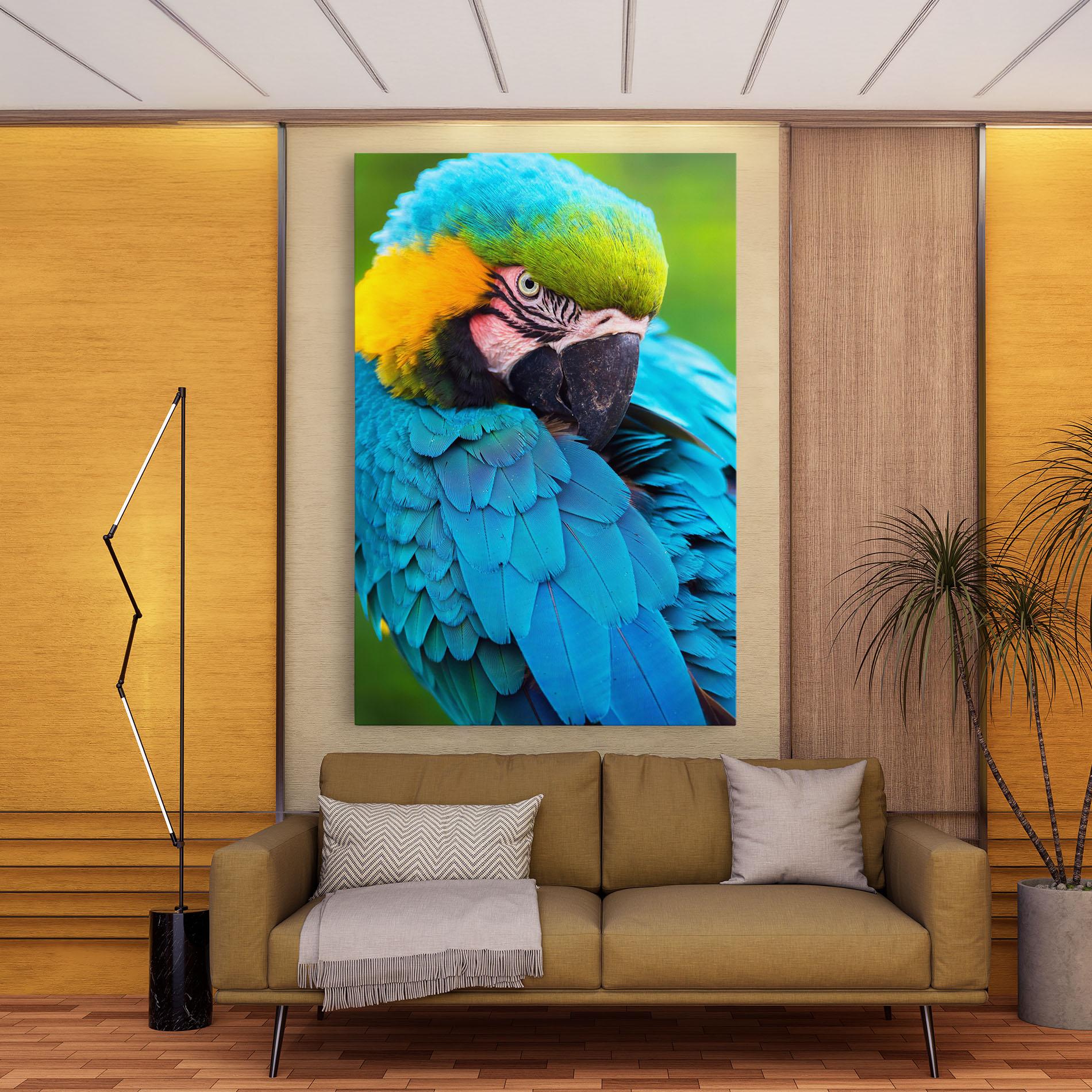 Vászonkép Blue Parrot mockup 9