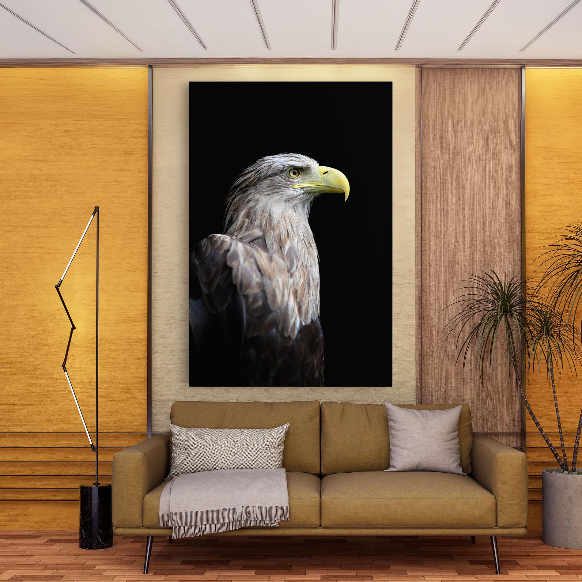 Vászonkép Close Up Eagle mockup 9