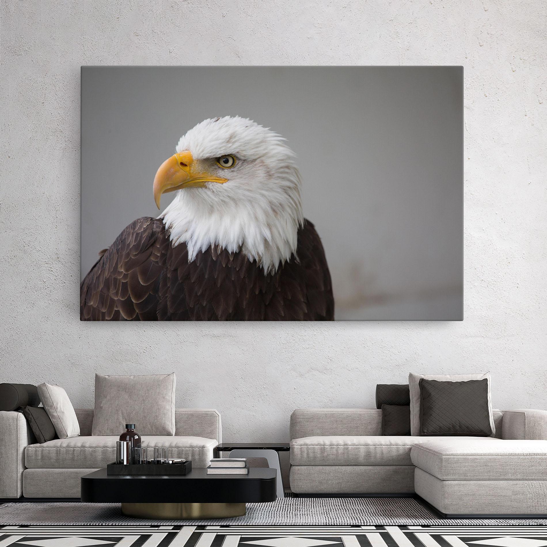 Vászonkép Beautiful Eagle mockup 2