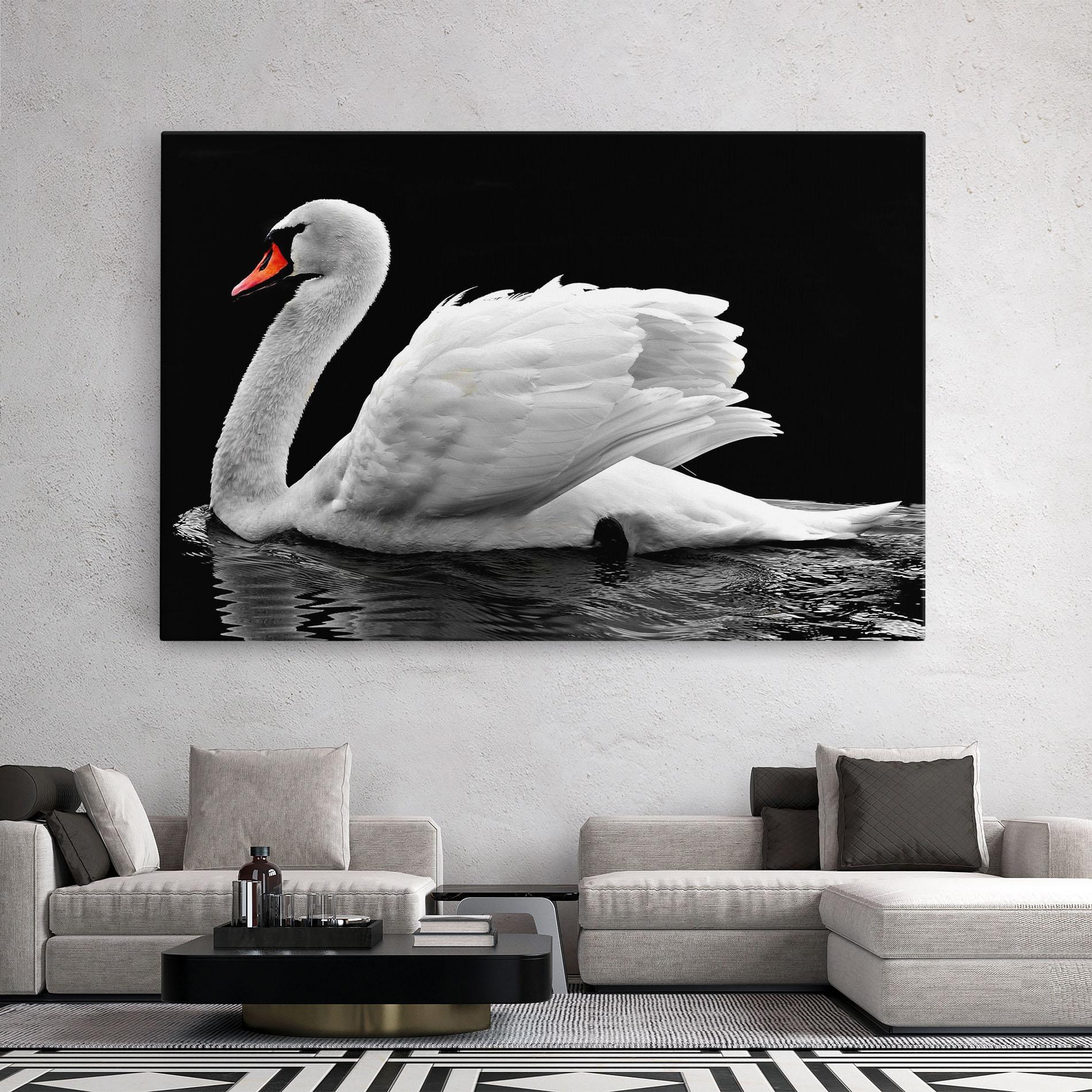 Vászonkép Black And White Swan mockup 2