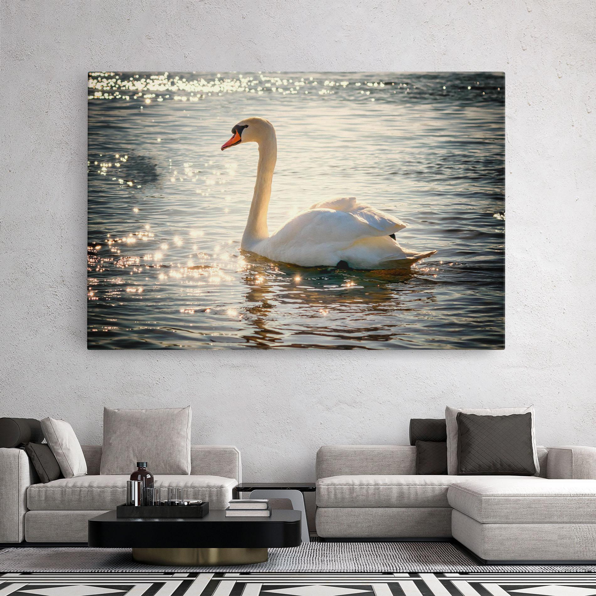 Vászonkép Swan On Lake mockup 2