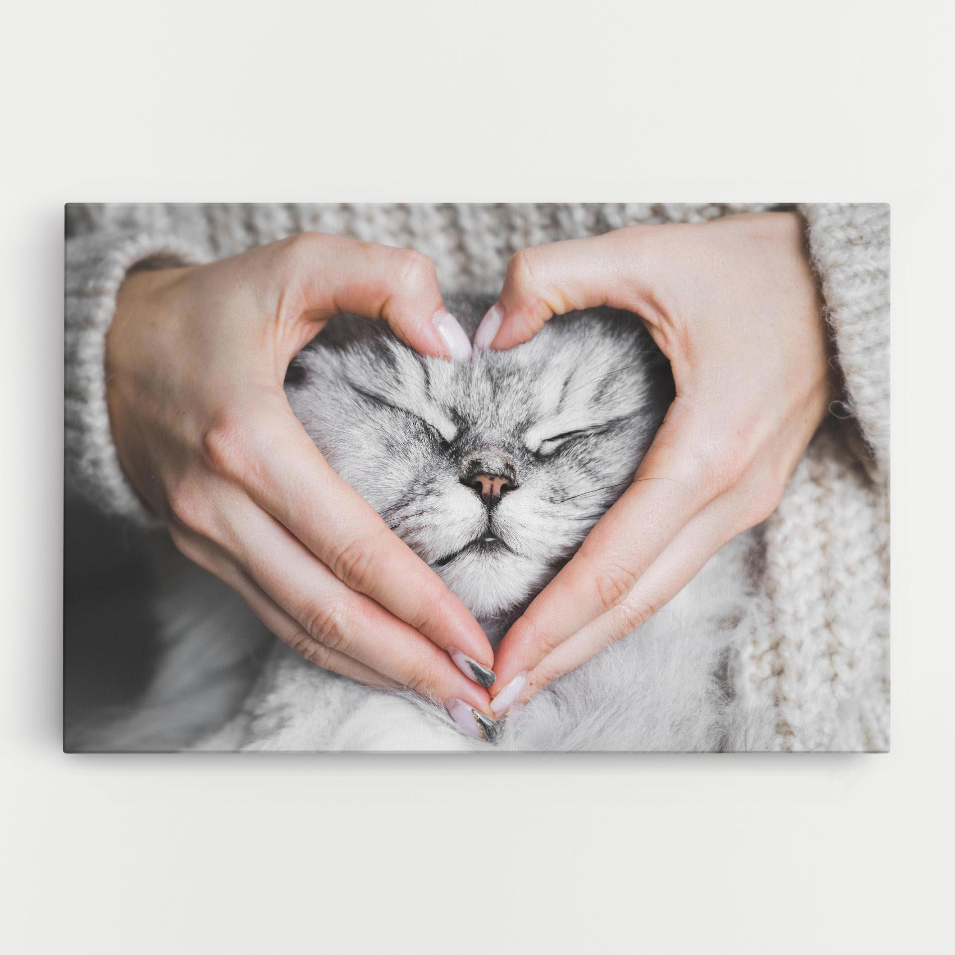 Vászonkép Lovely Cat mockup 0