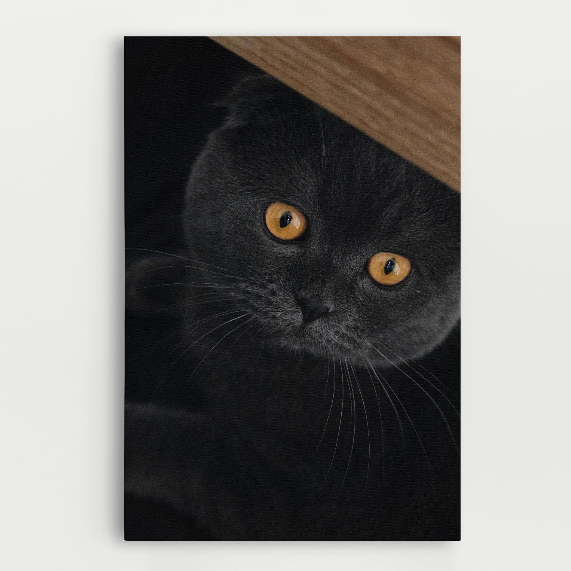 Vászonkép Grey Cat With Orange Eyes mockup 0