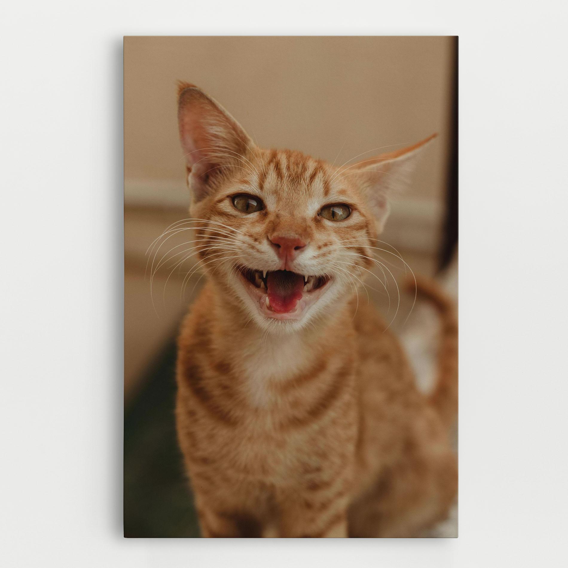 Vászonkép Orange Cat Smiling mockup 0