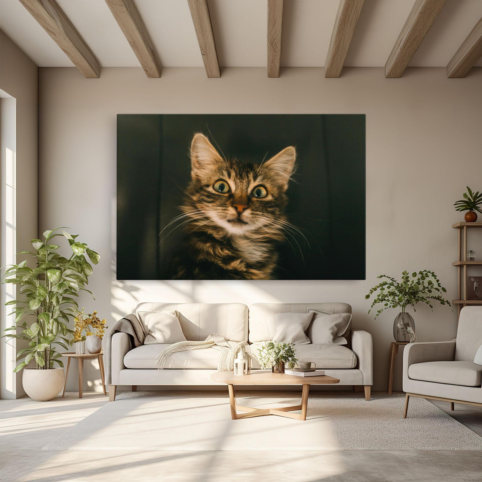 Vászonkép Amazed Cat mockup 6
