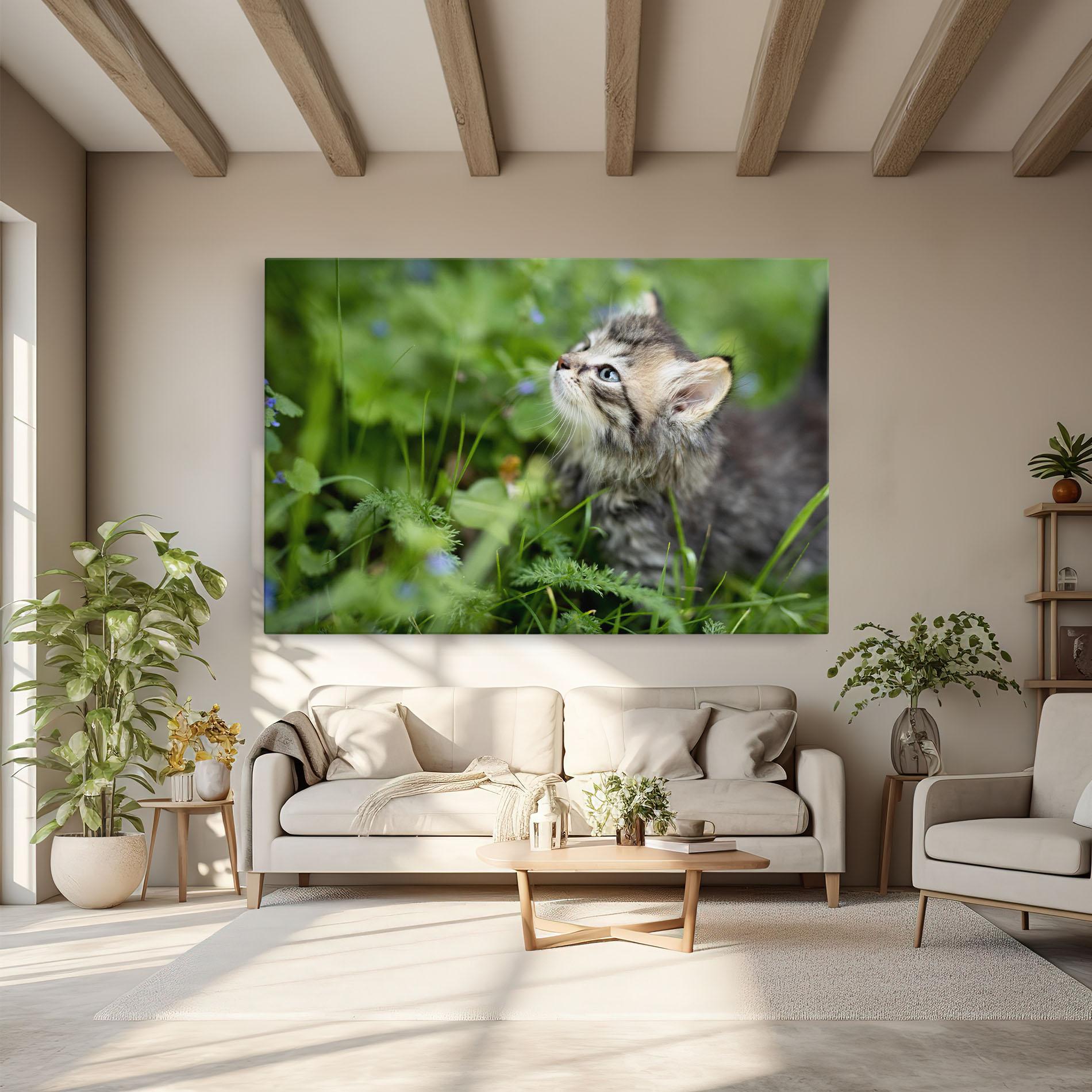 Vászonkép Brown Baby Cat mockup 6